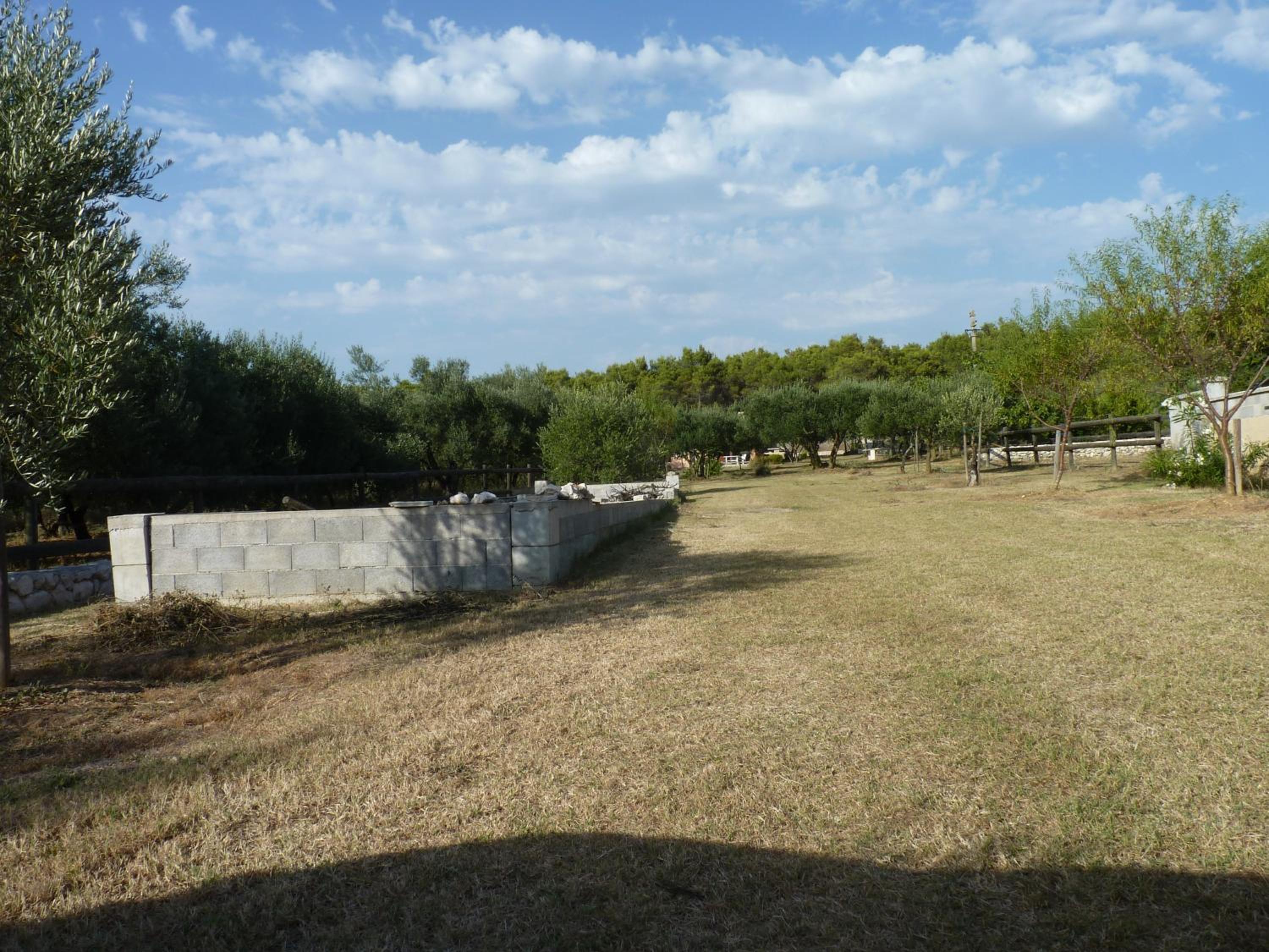 Photo 46