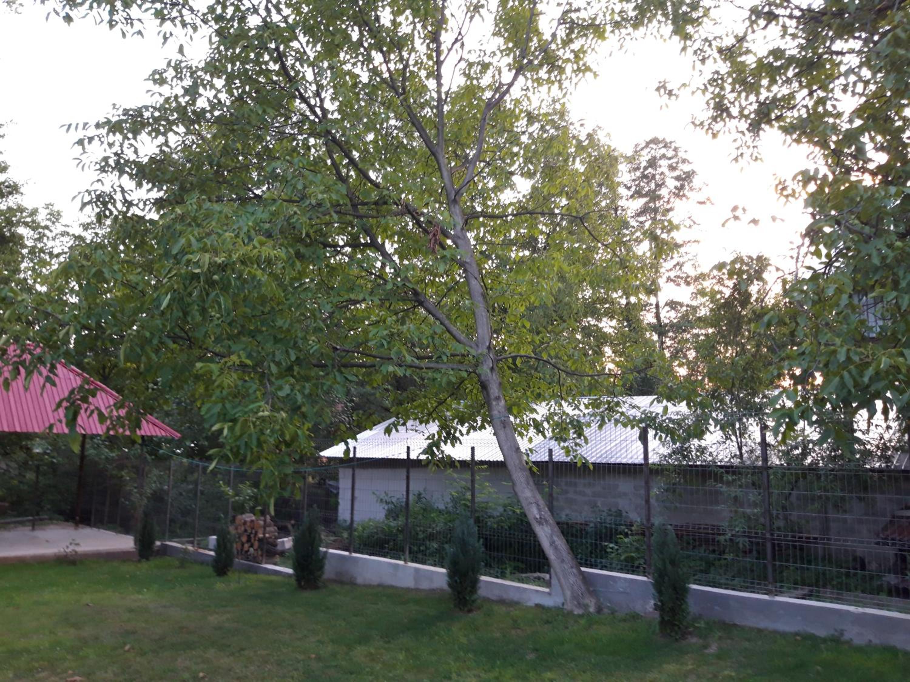 Casa Valea Morilor