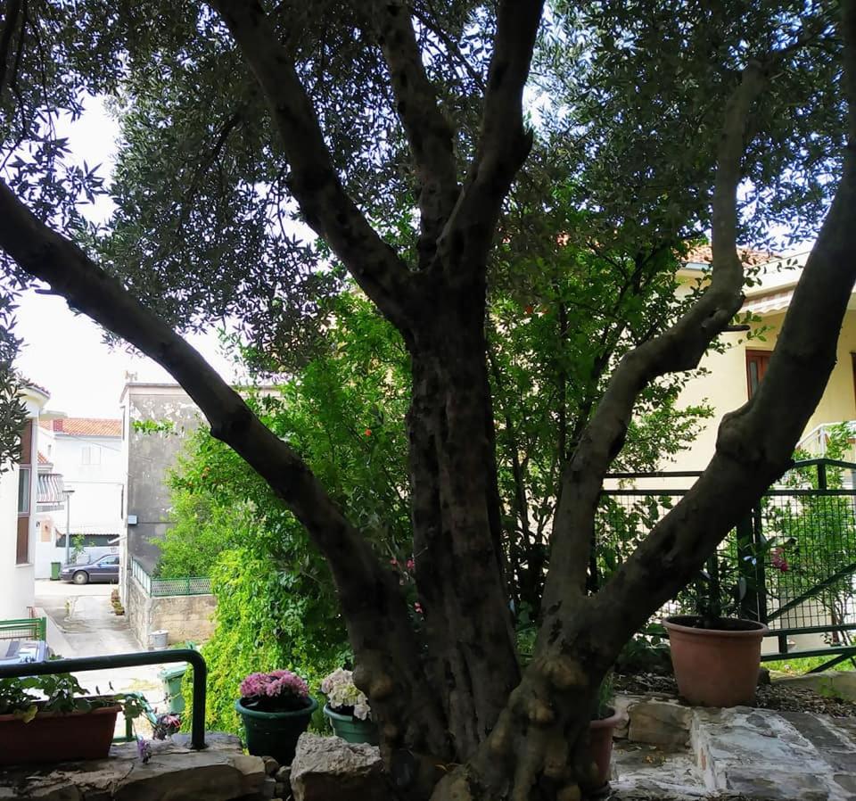 Photo 32
