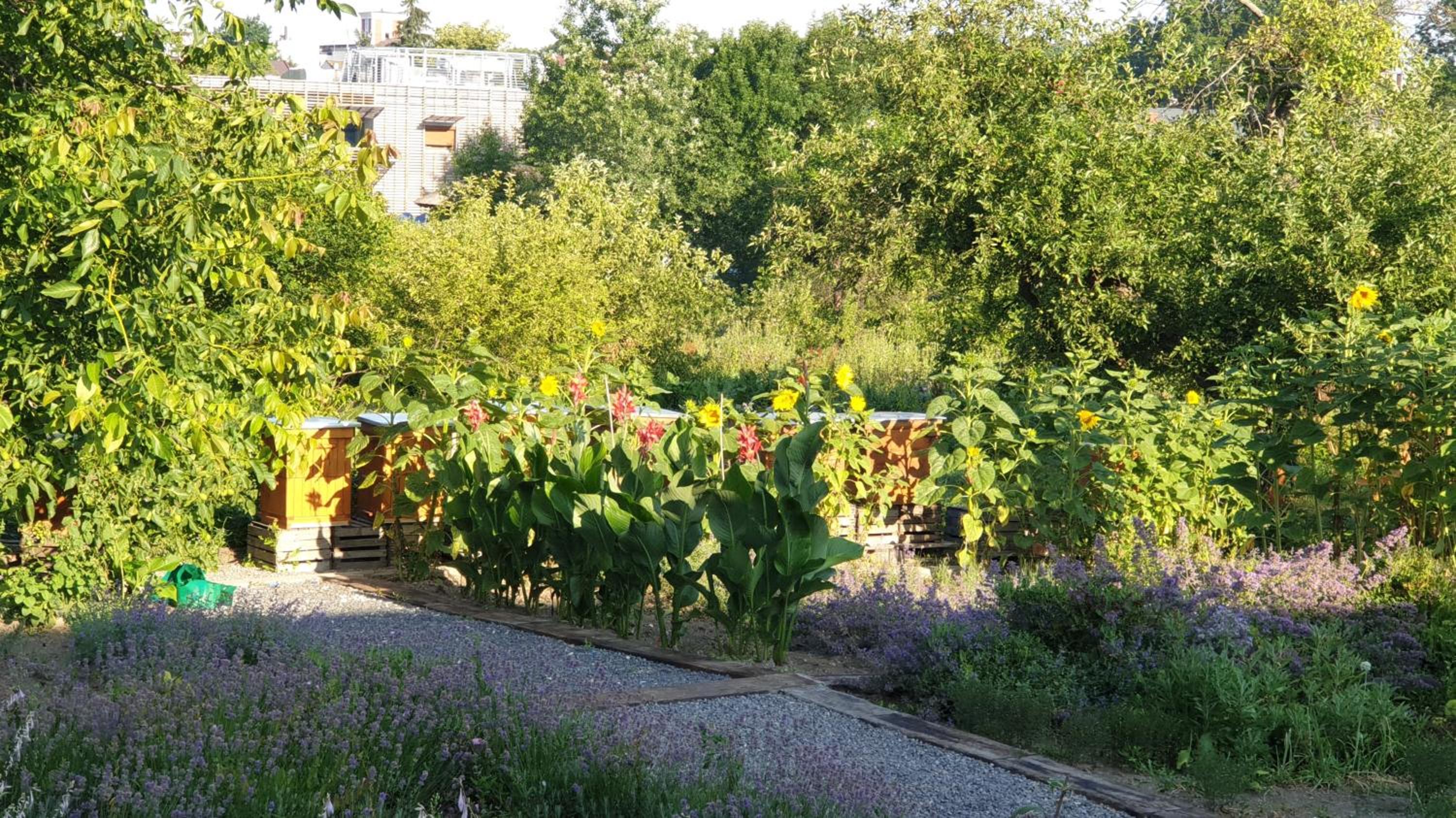 Agroturystyka u Joli