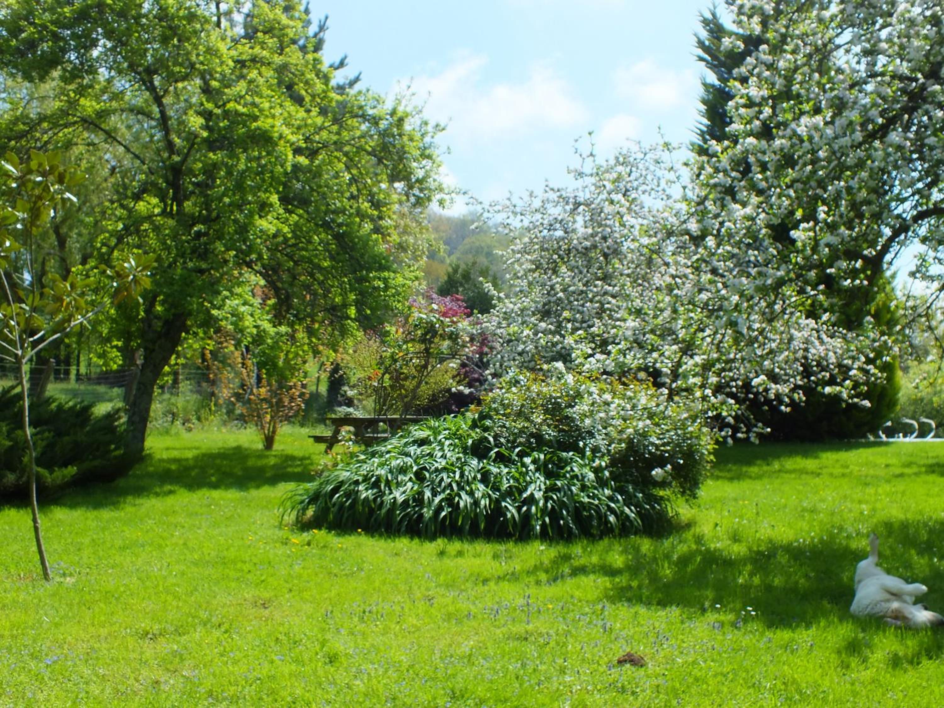 Photo 28