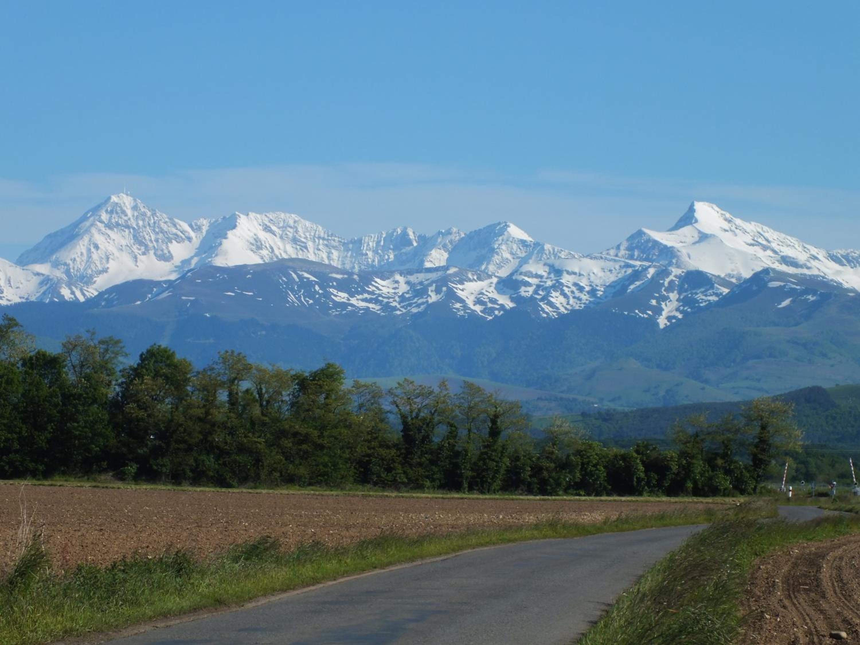 Photo 23