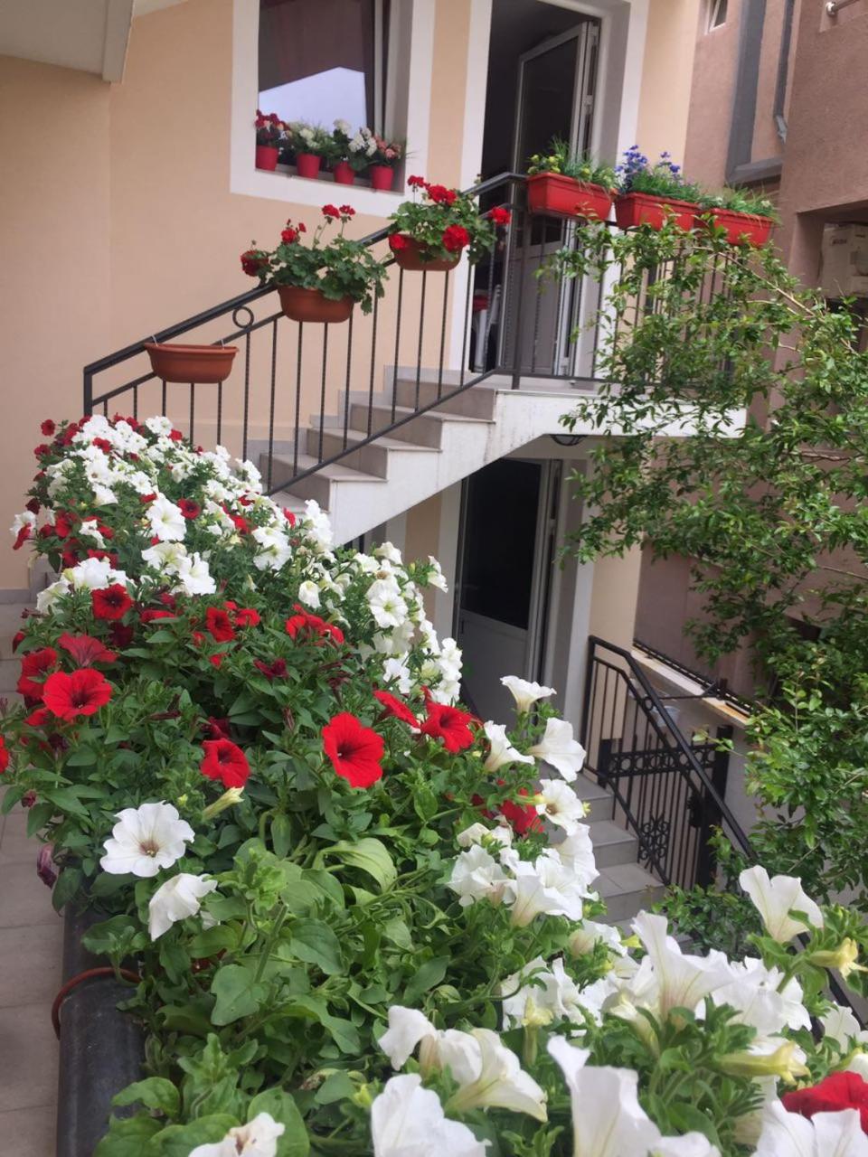 Apartments Balabusic — photo 15