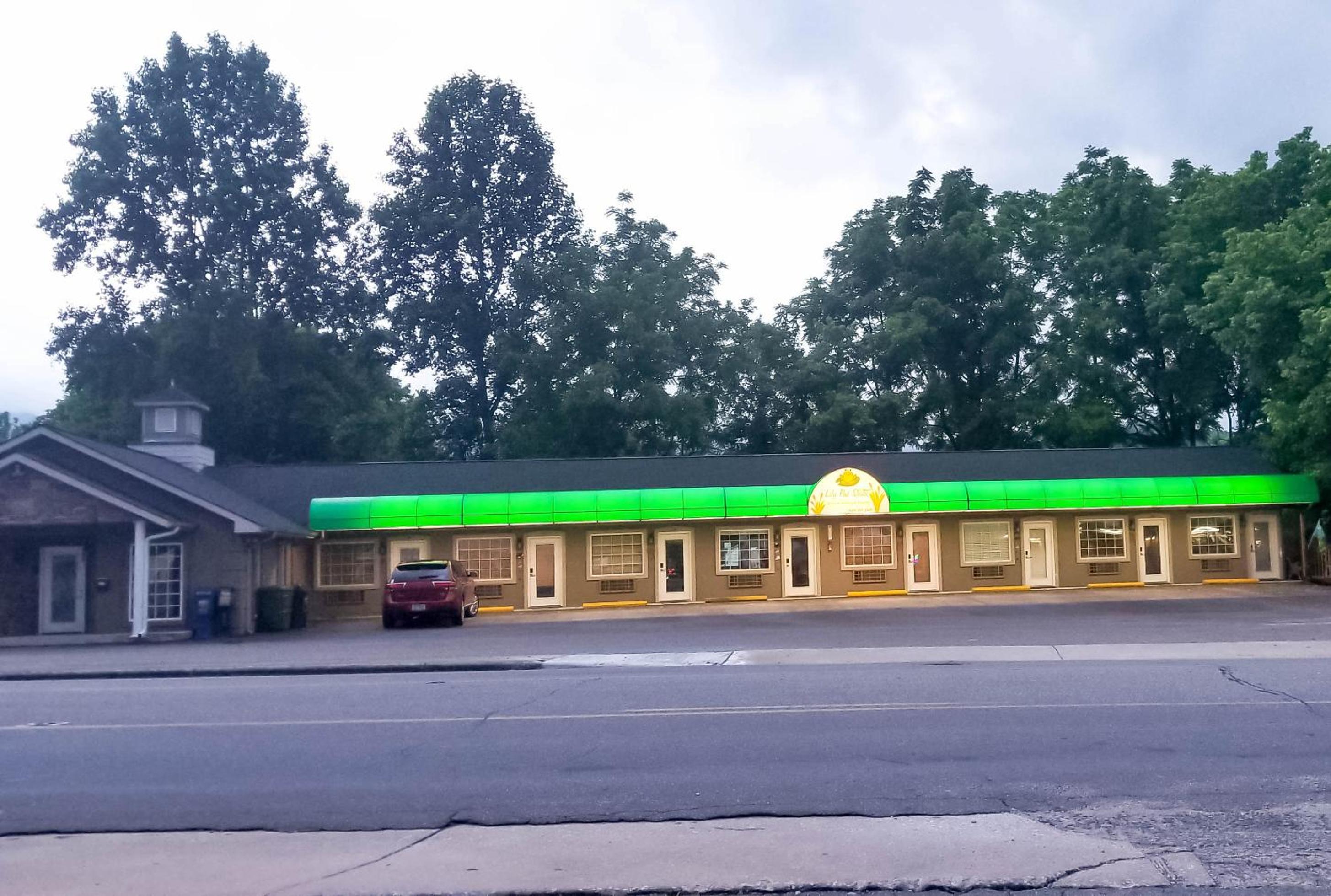 Lily Pad Suites