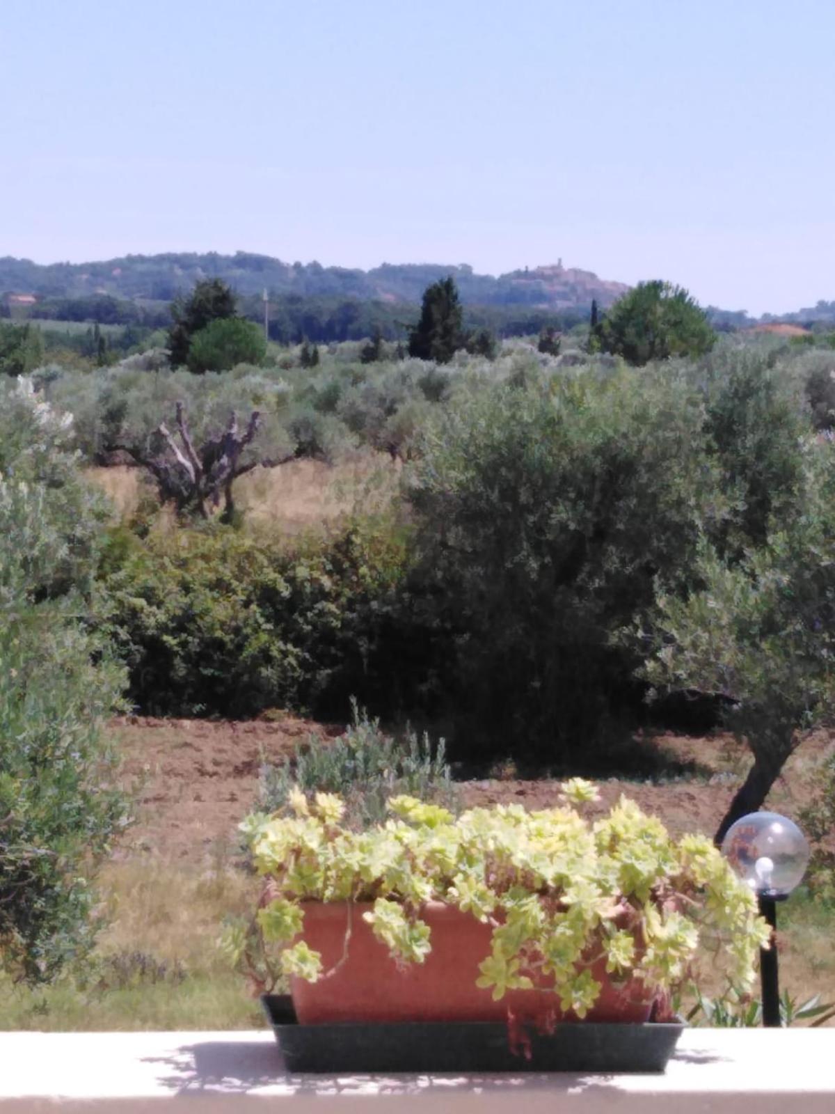 Photo 28