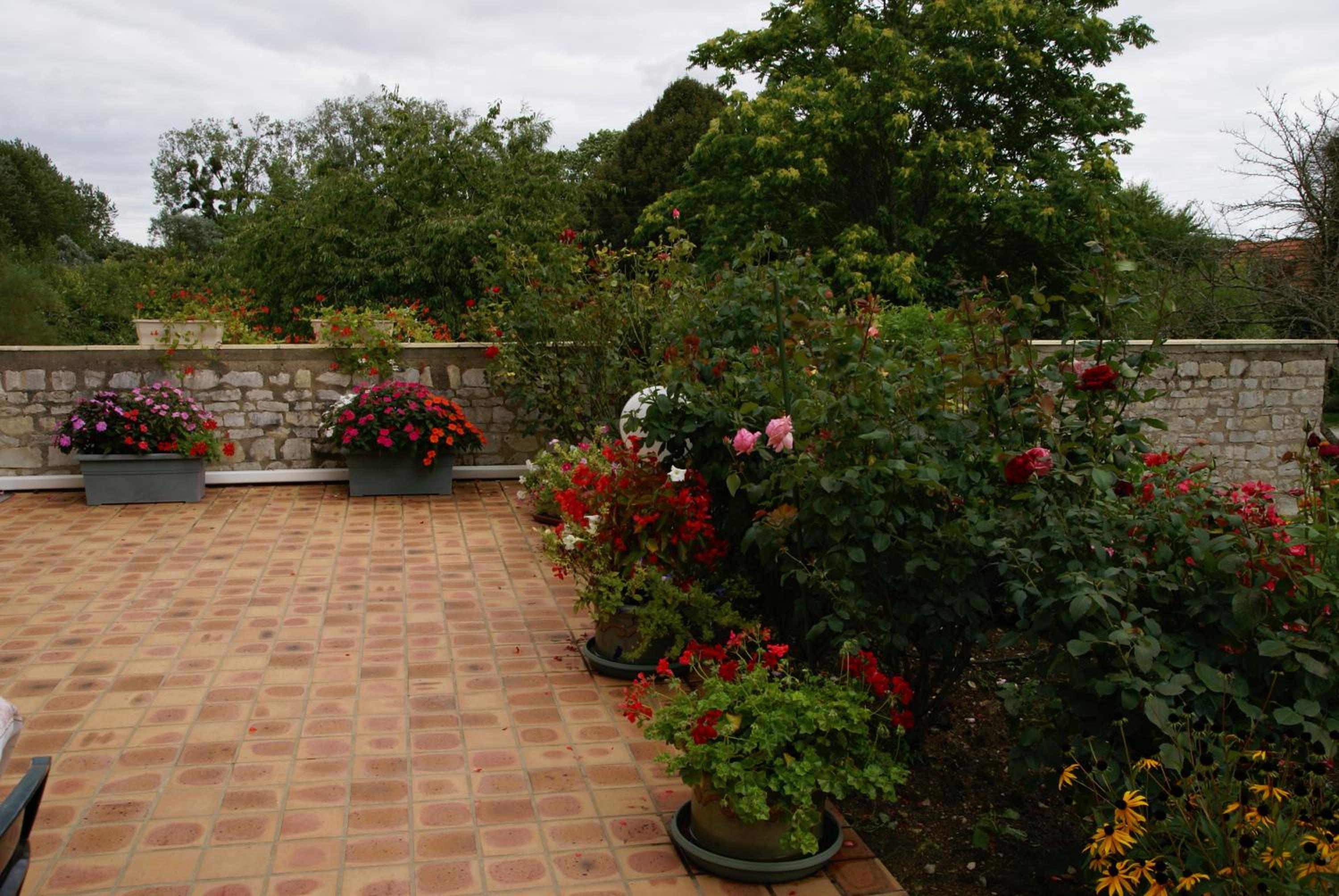 Photo 10