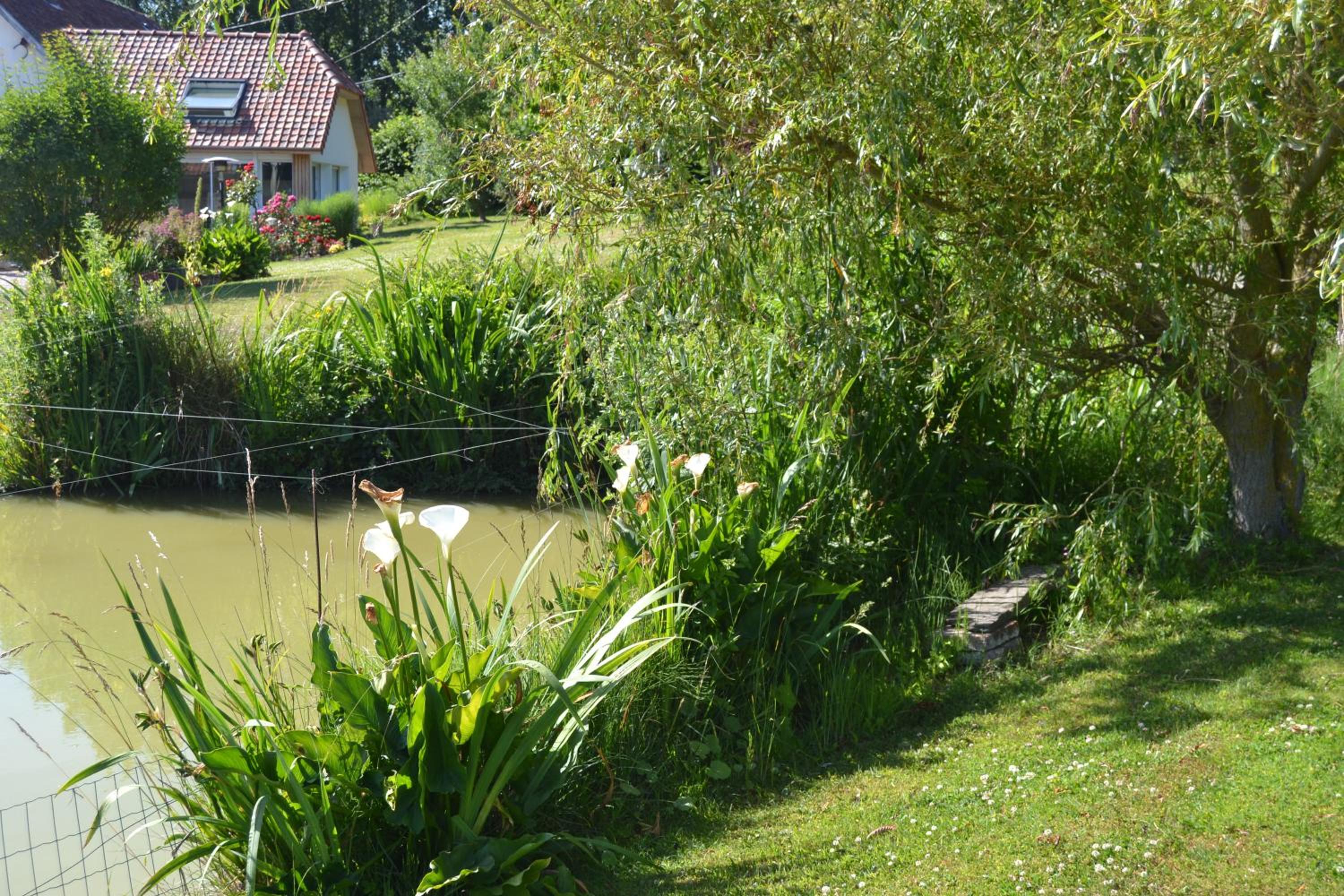 Les Chambres de Souverain Moulin view 3