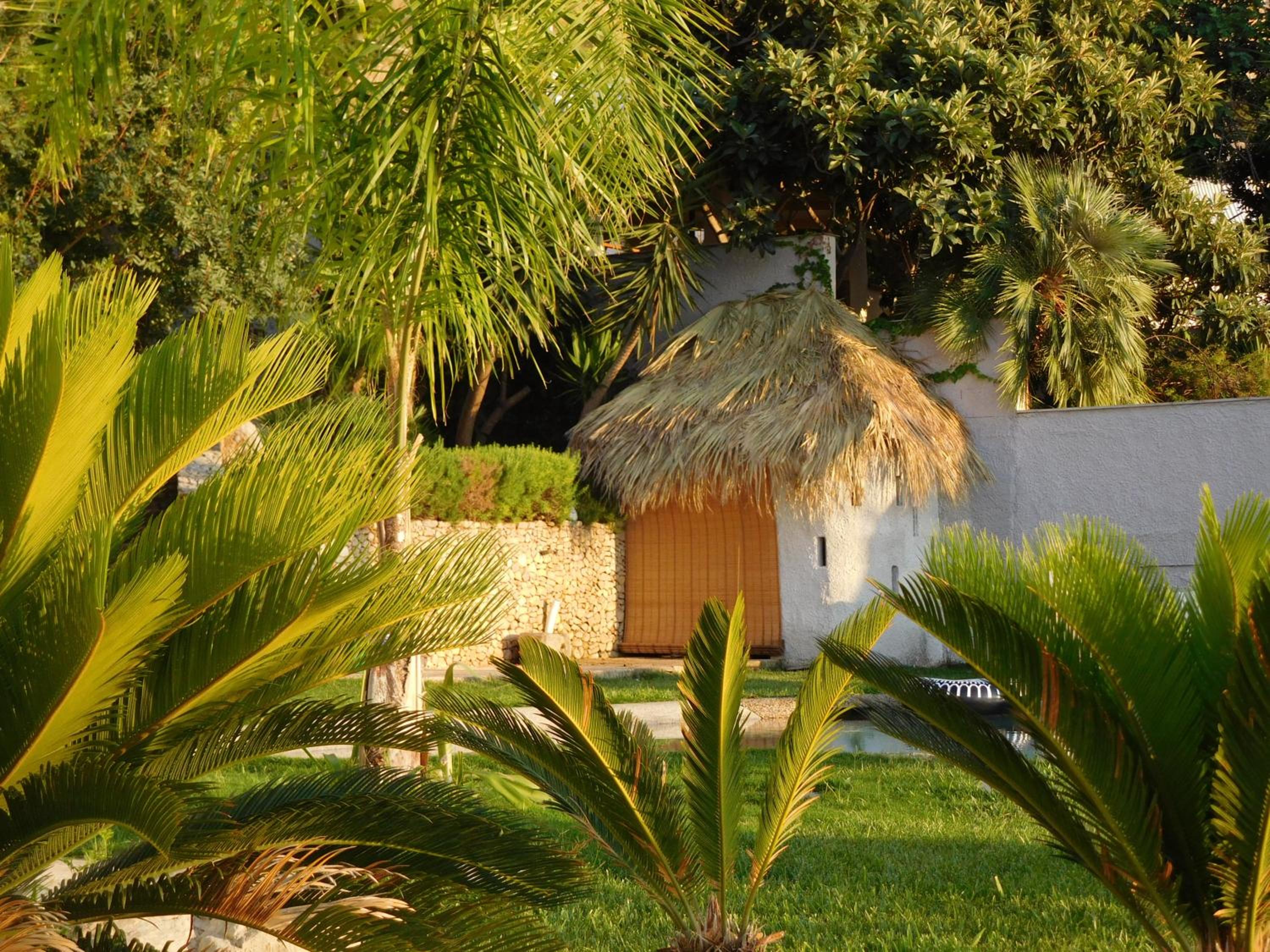 Photo 26