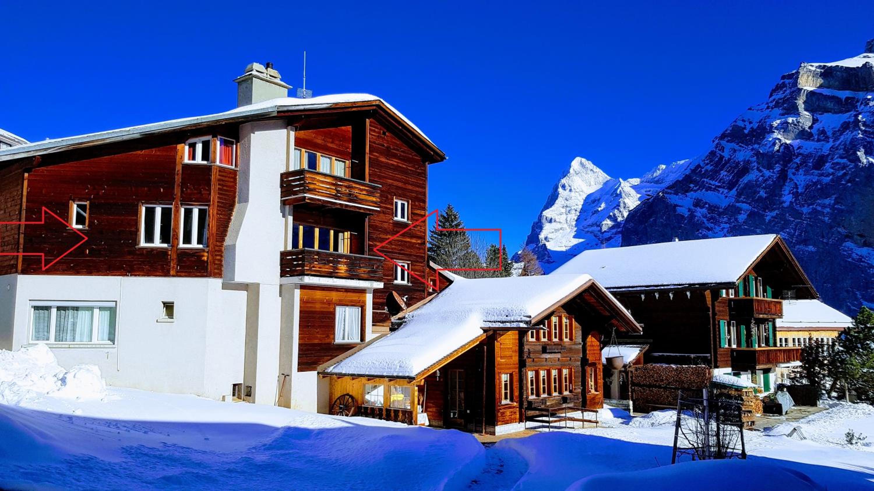 Chalet Anemone 2