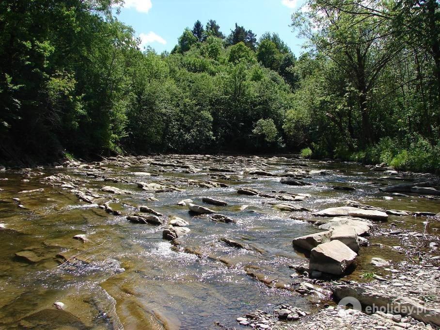 Domek Rodzynek