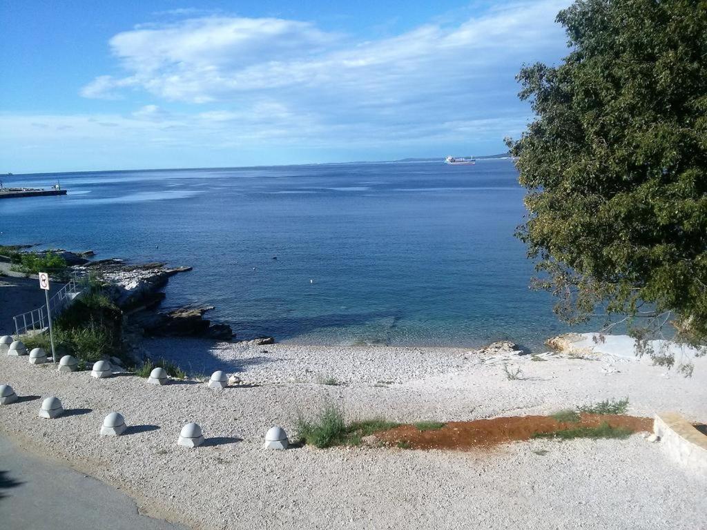 Laura view 4