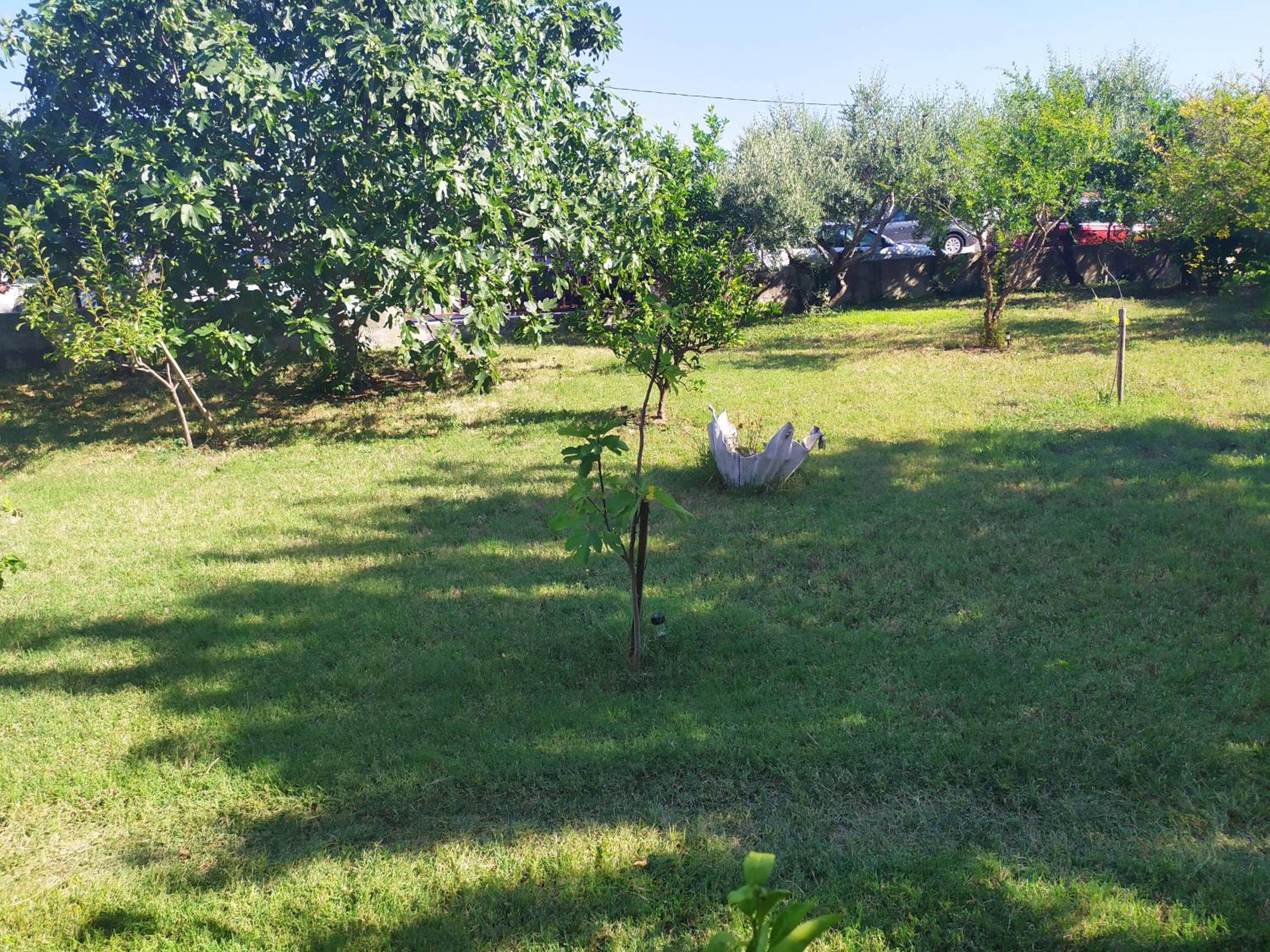 Photo 54