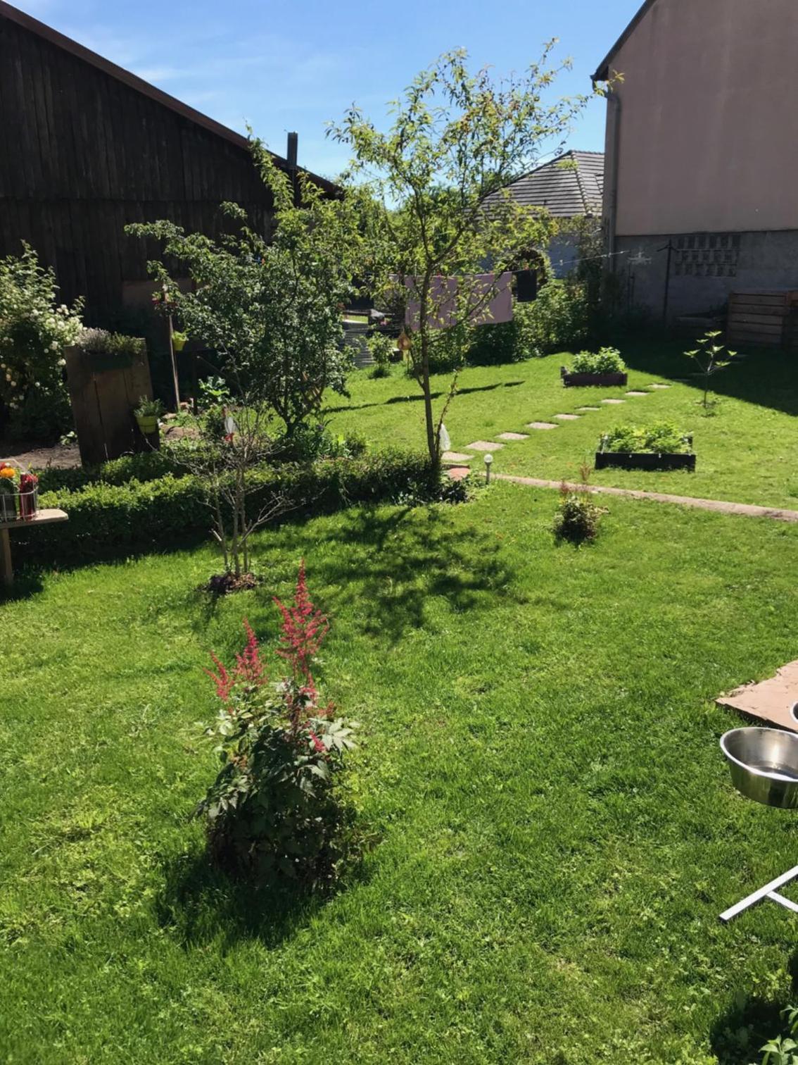 Photo 48
