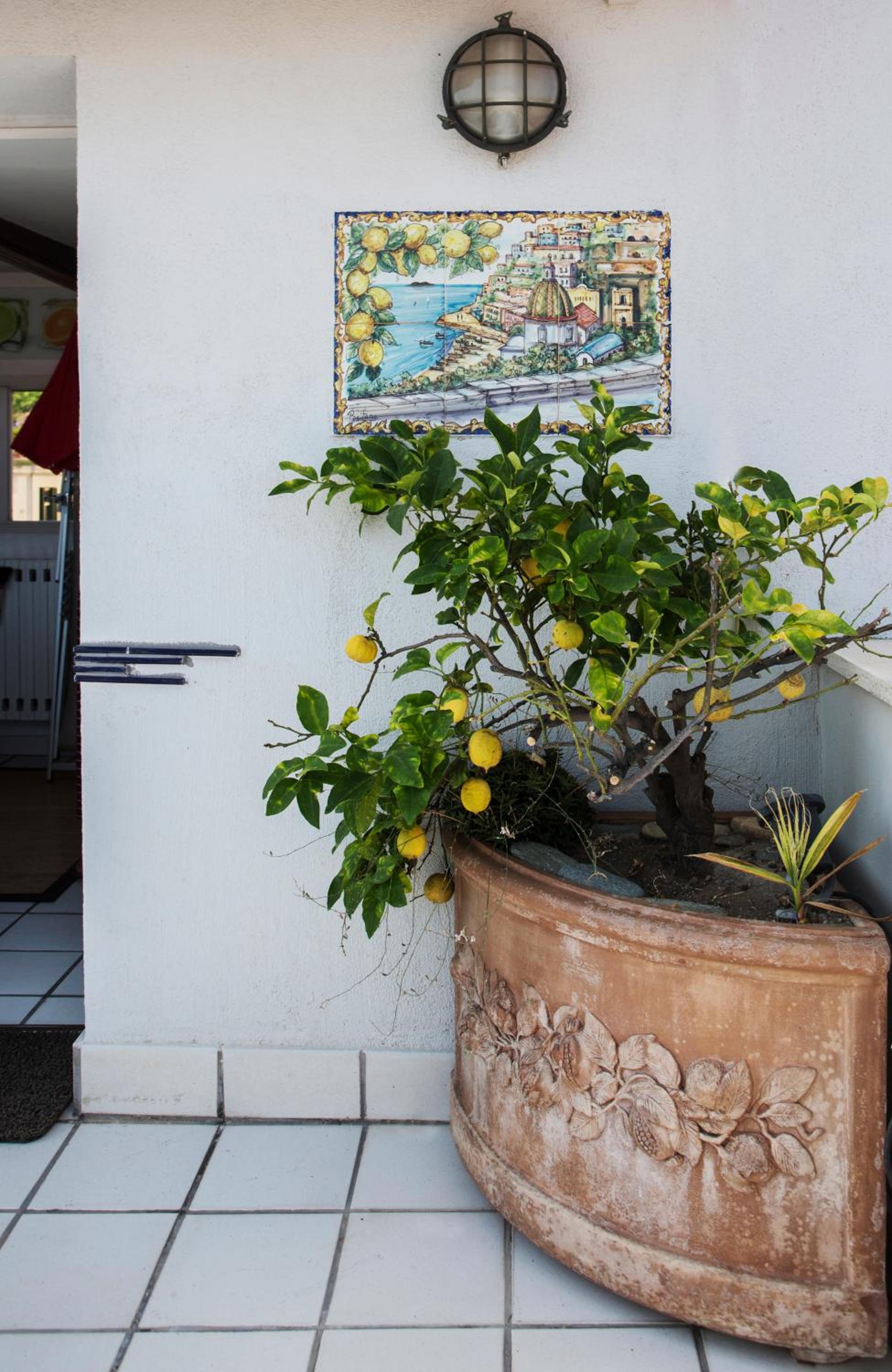 Apartment Martucci with Seaview