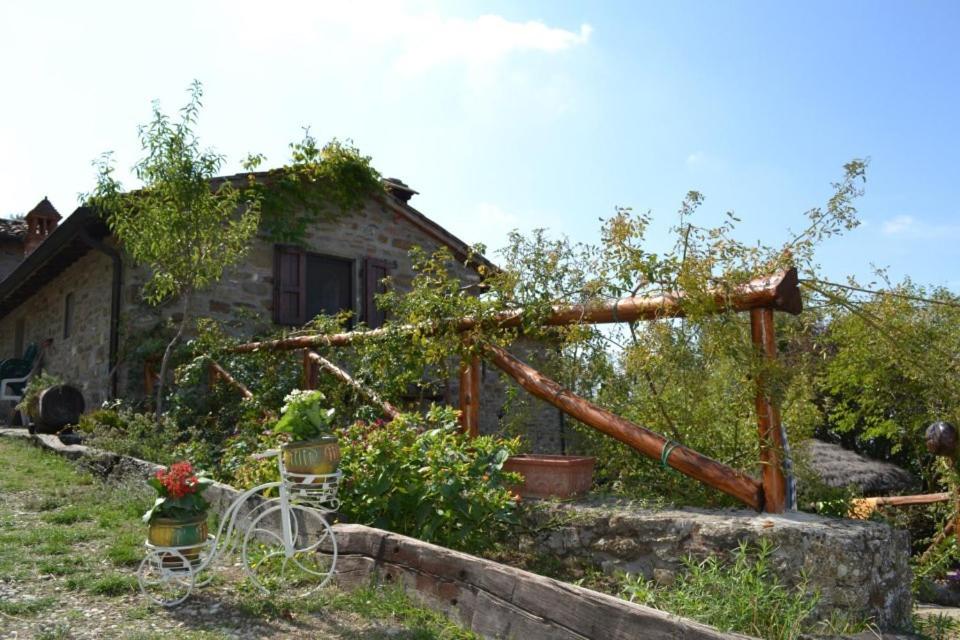 Podere Spinabbio