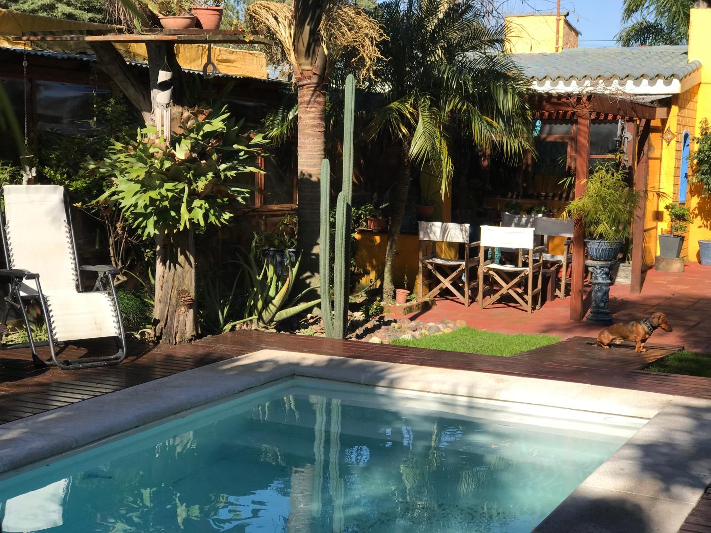 El Bambu