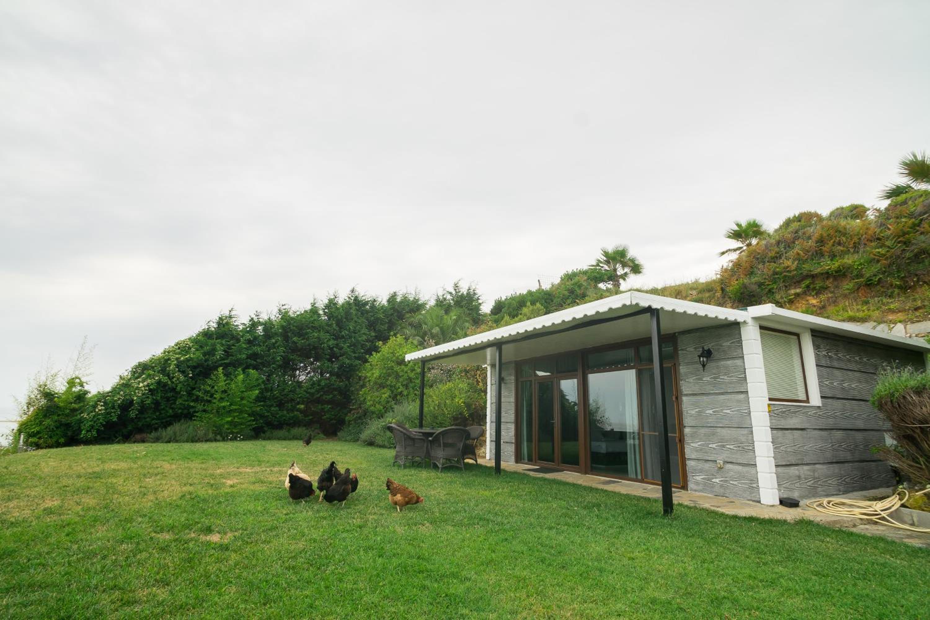 outdoor BBQ area