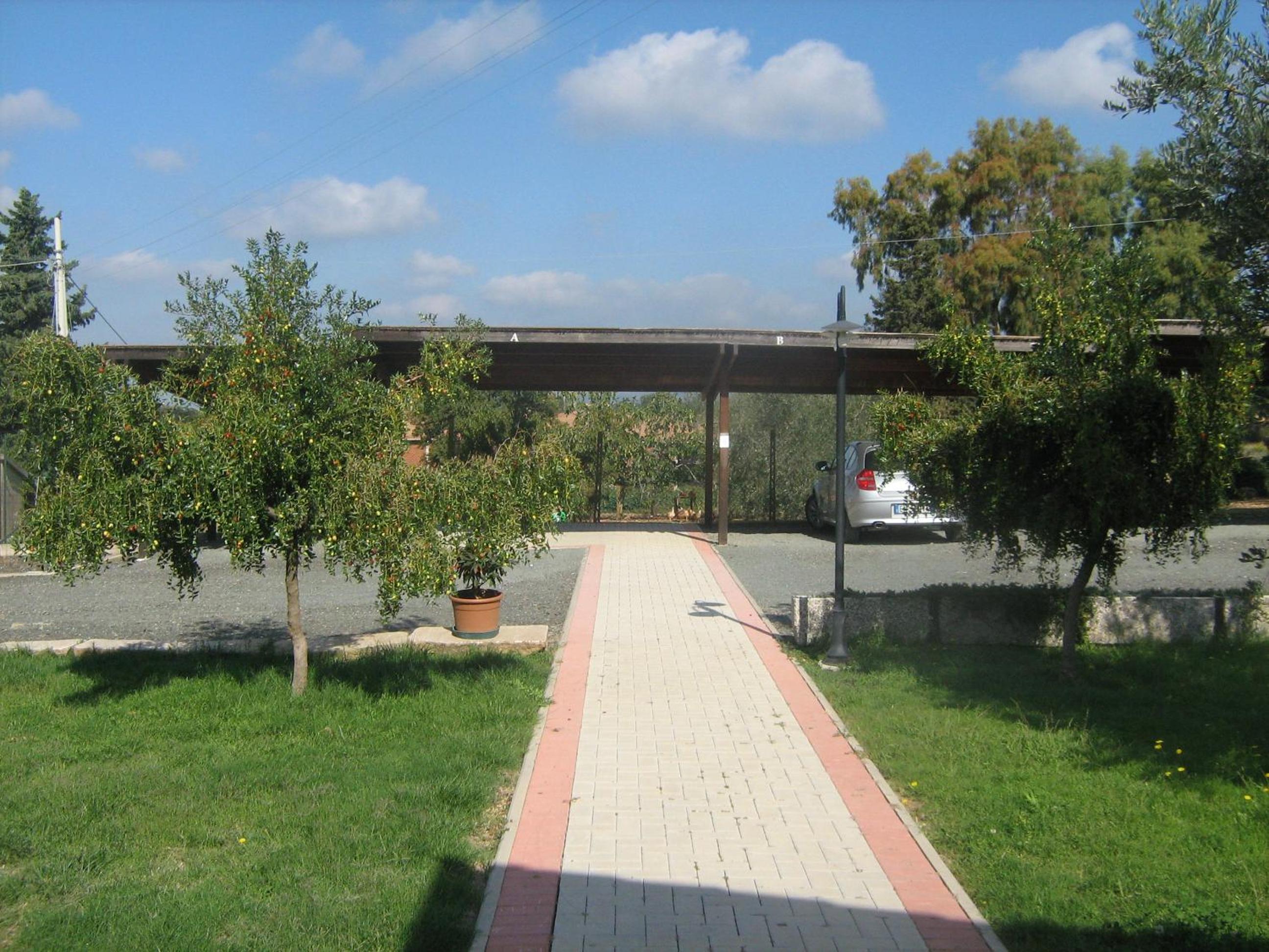 Photo 31