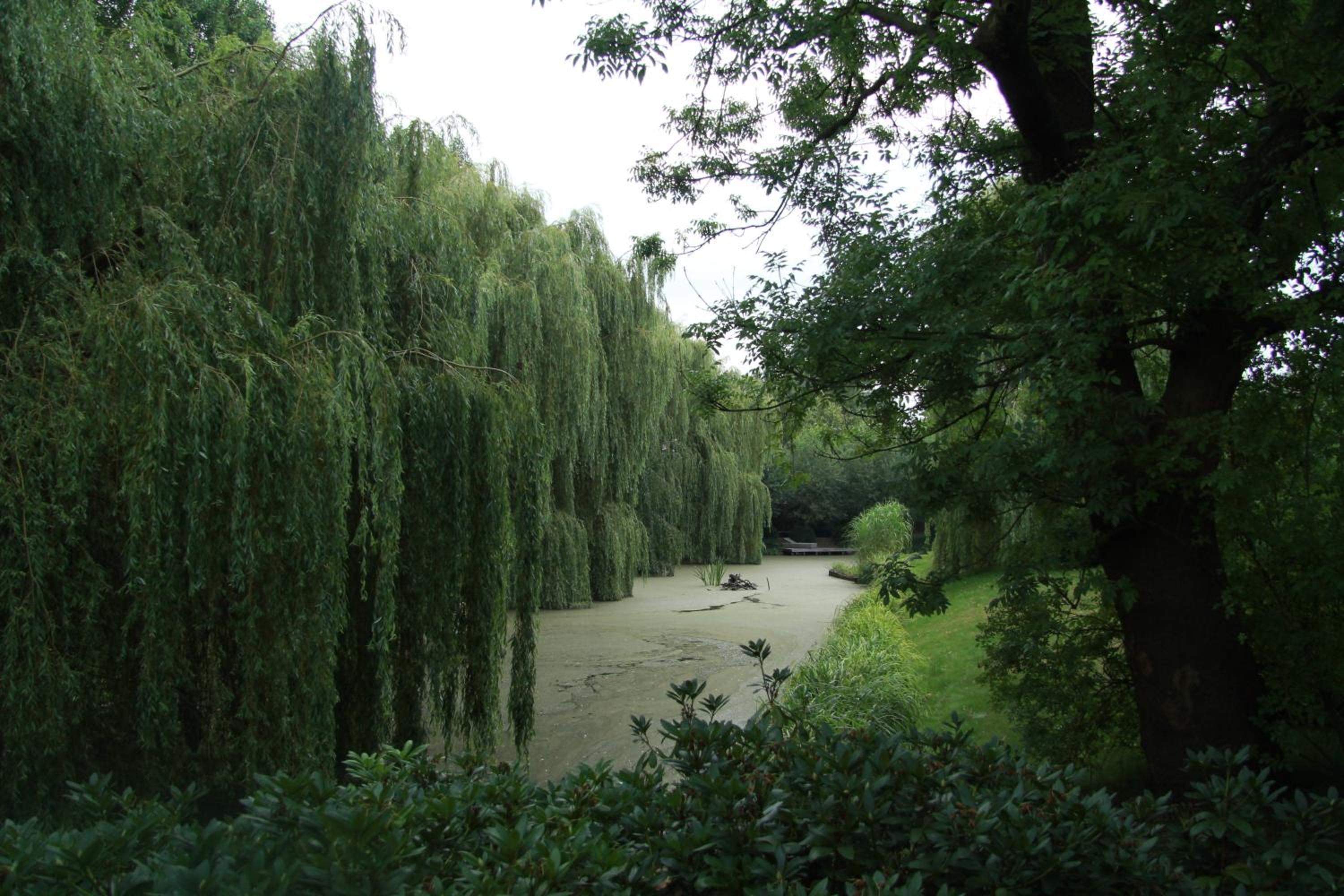 Photo 24