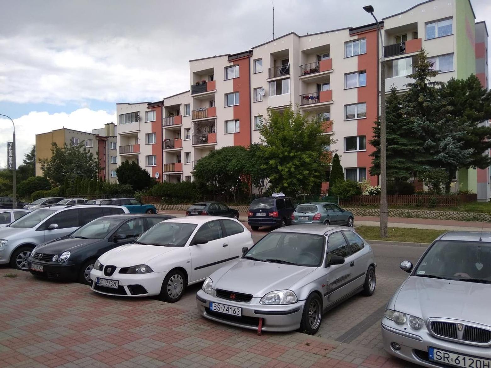 Kaktusik view 2