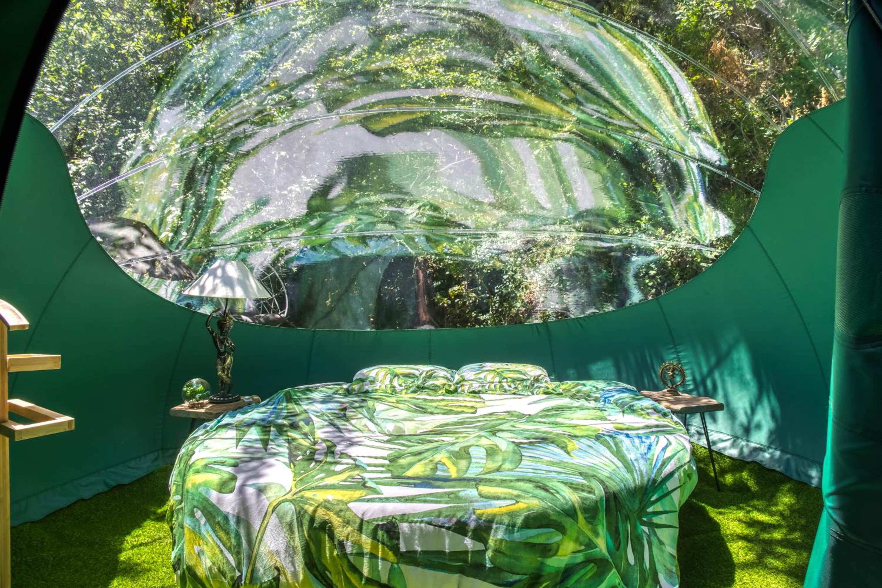 Domaine de l'Insolite view 3