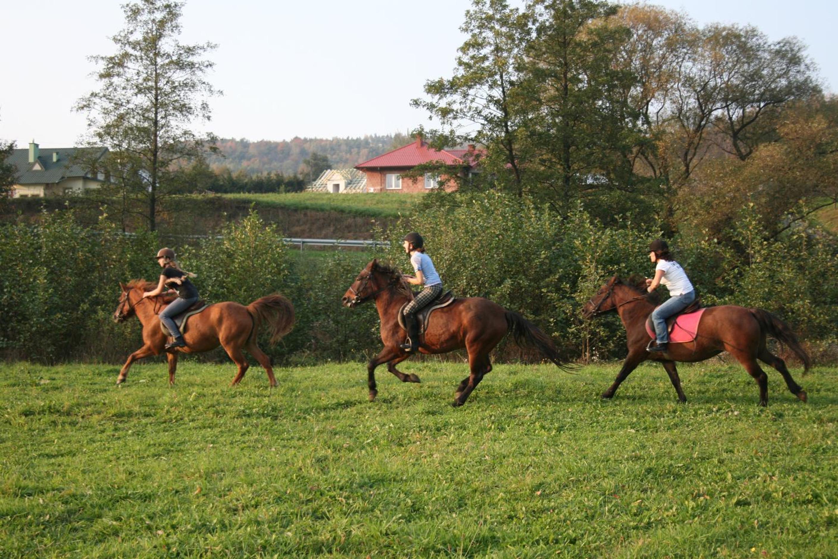 Świerkowe Rancho