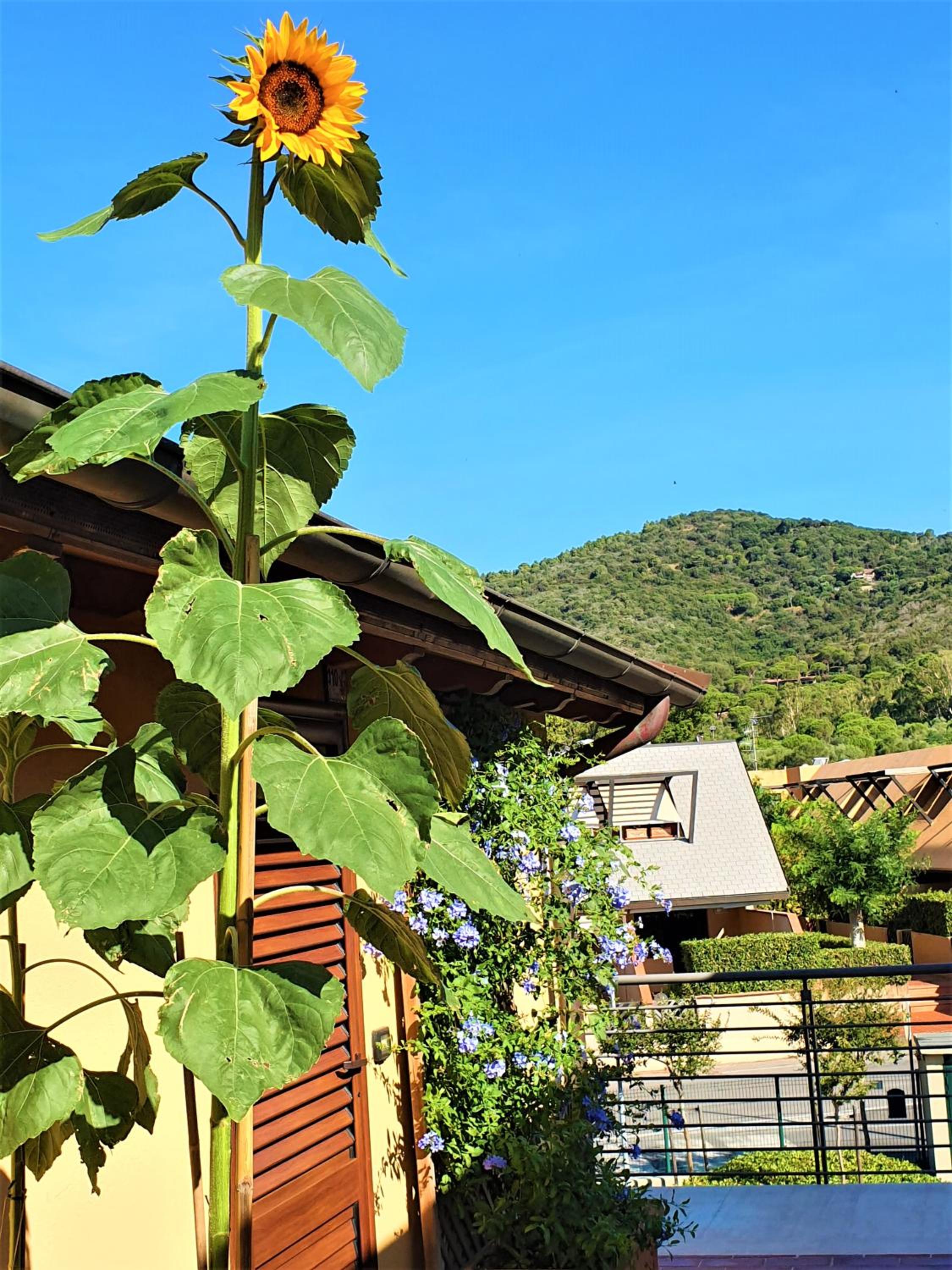 "La Terrazza di Castiglione" APPARTAMENTI VACANZA