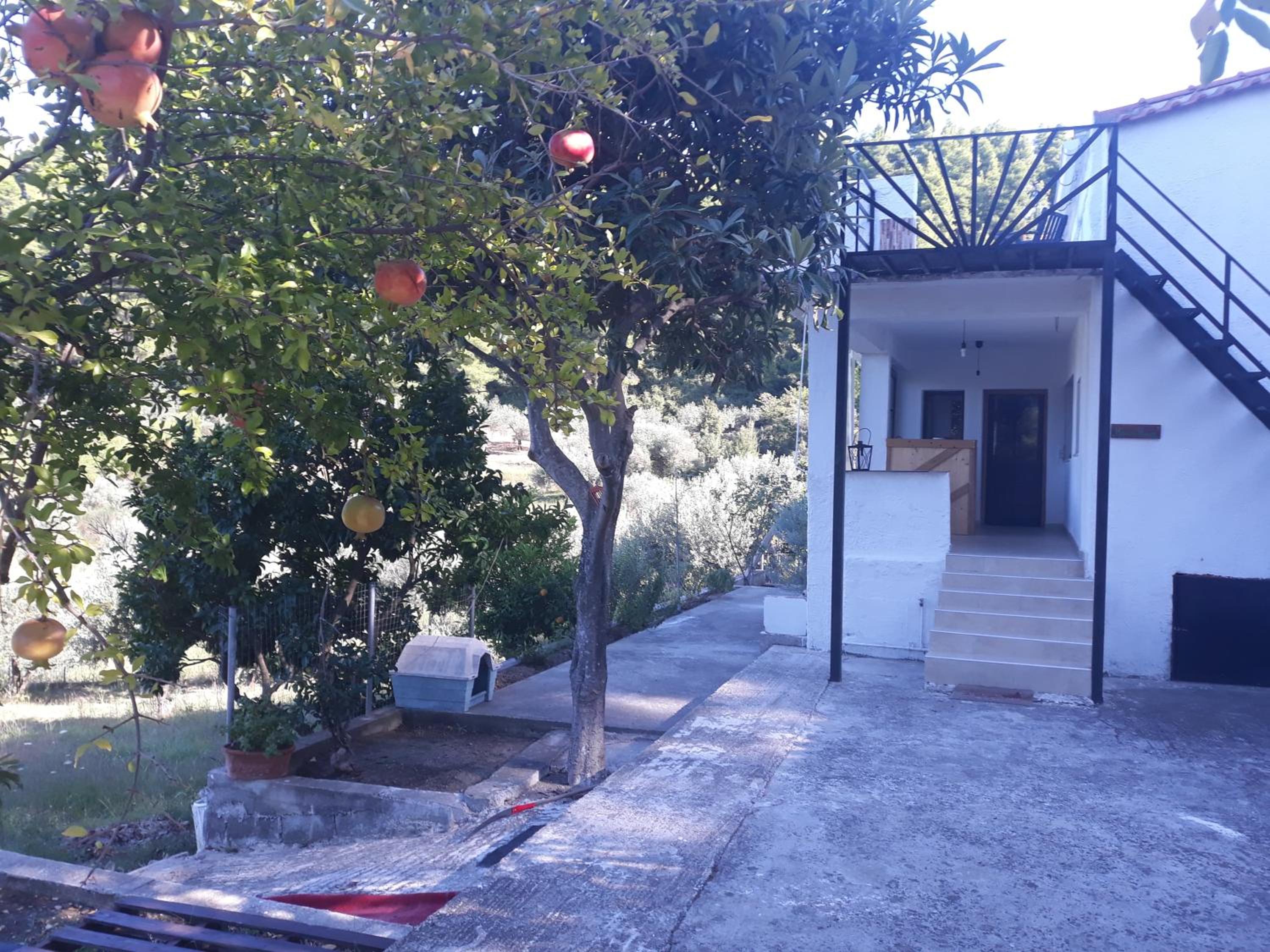 Photo 29
