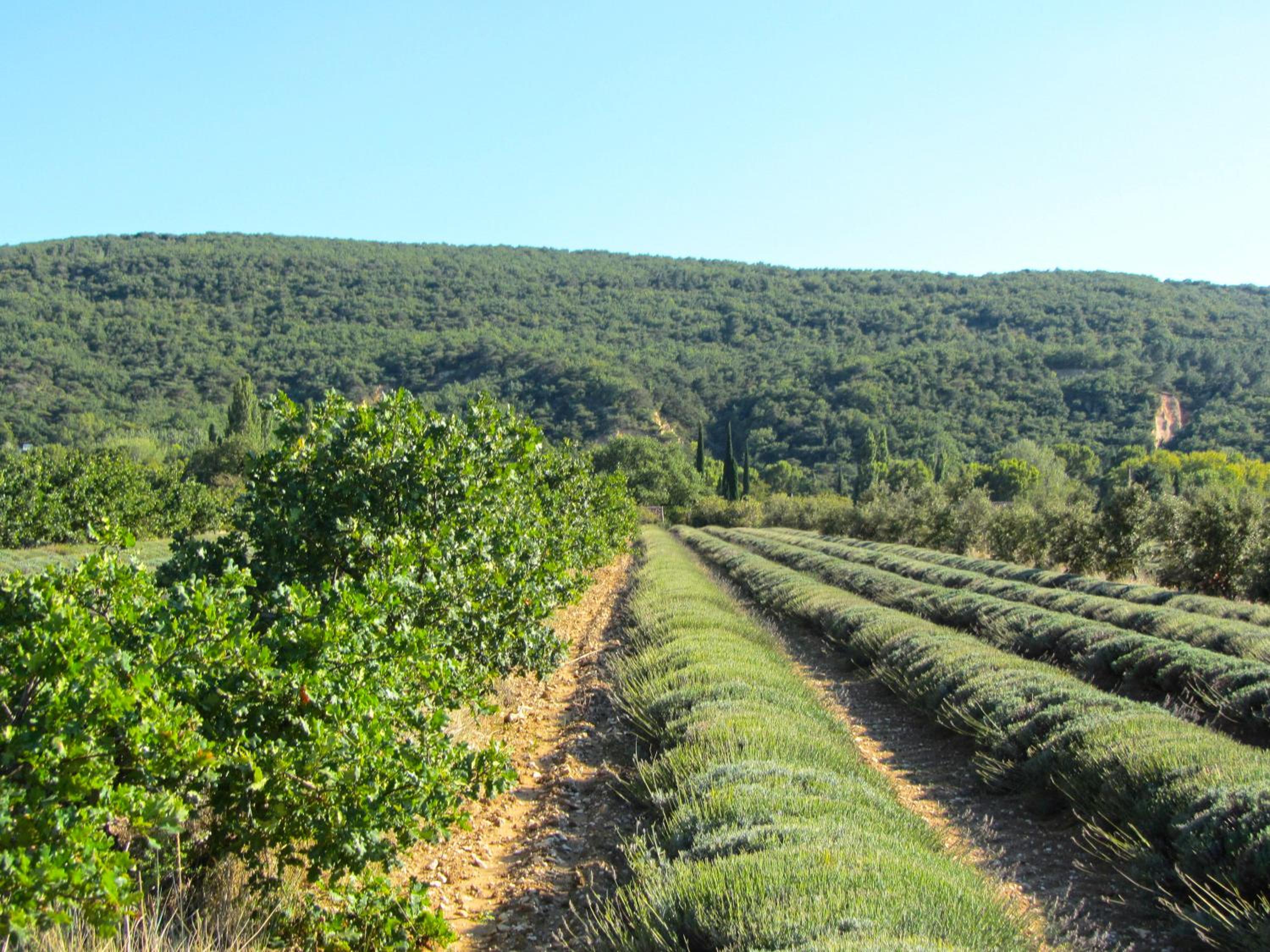 Gites de La Croix du Gres