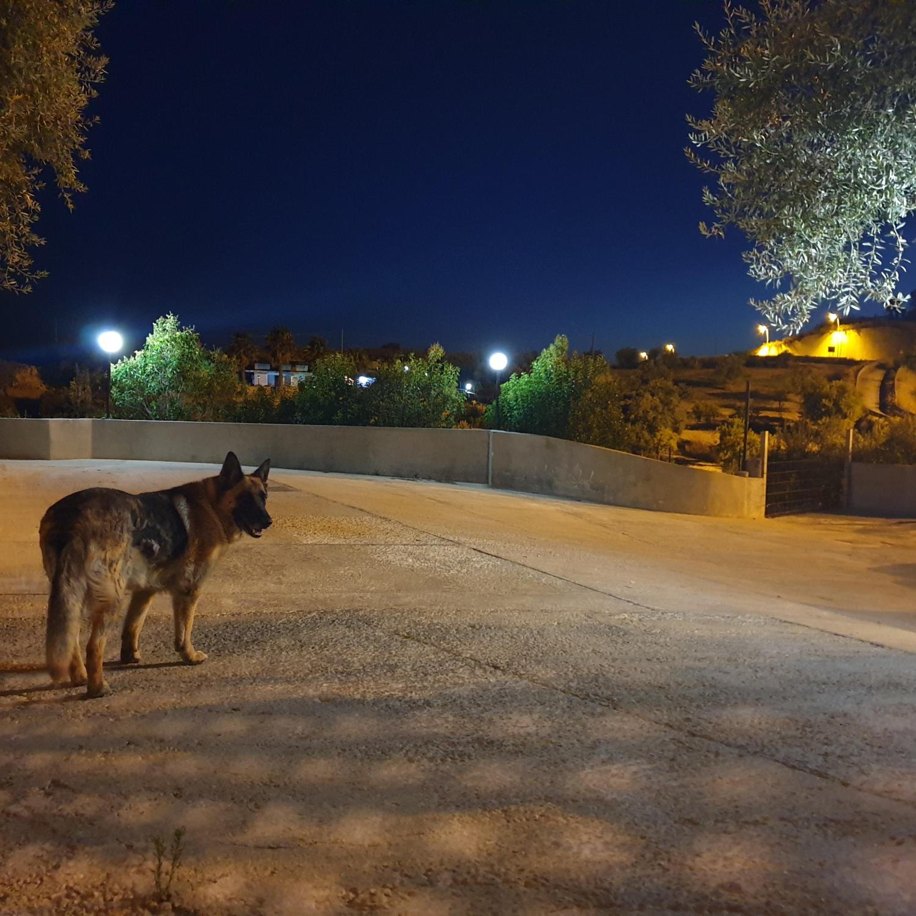Photo 43