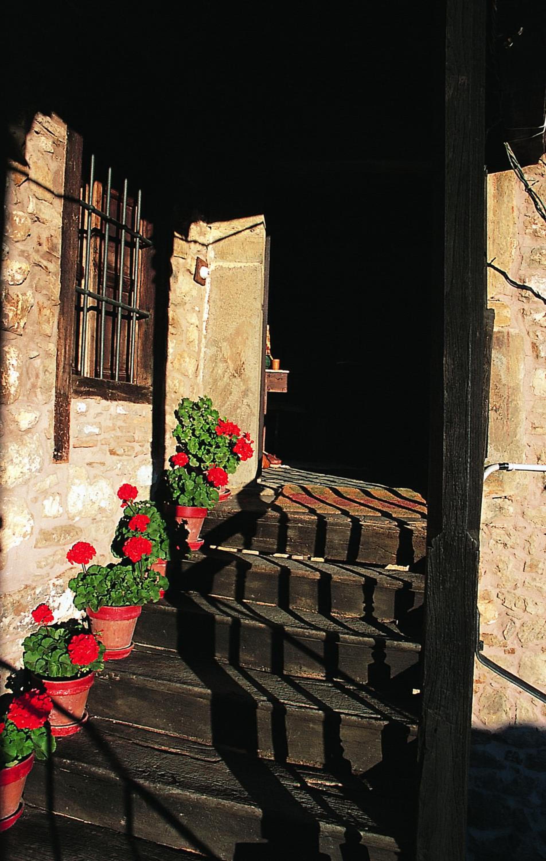 Photo 47
