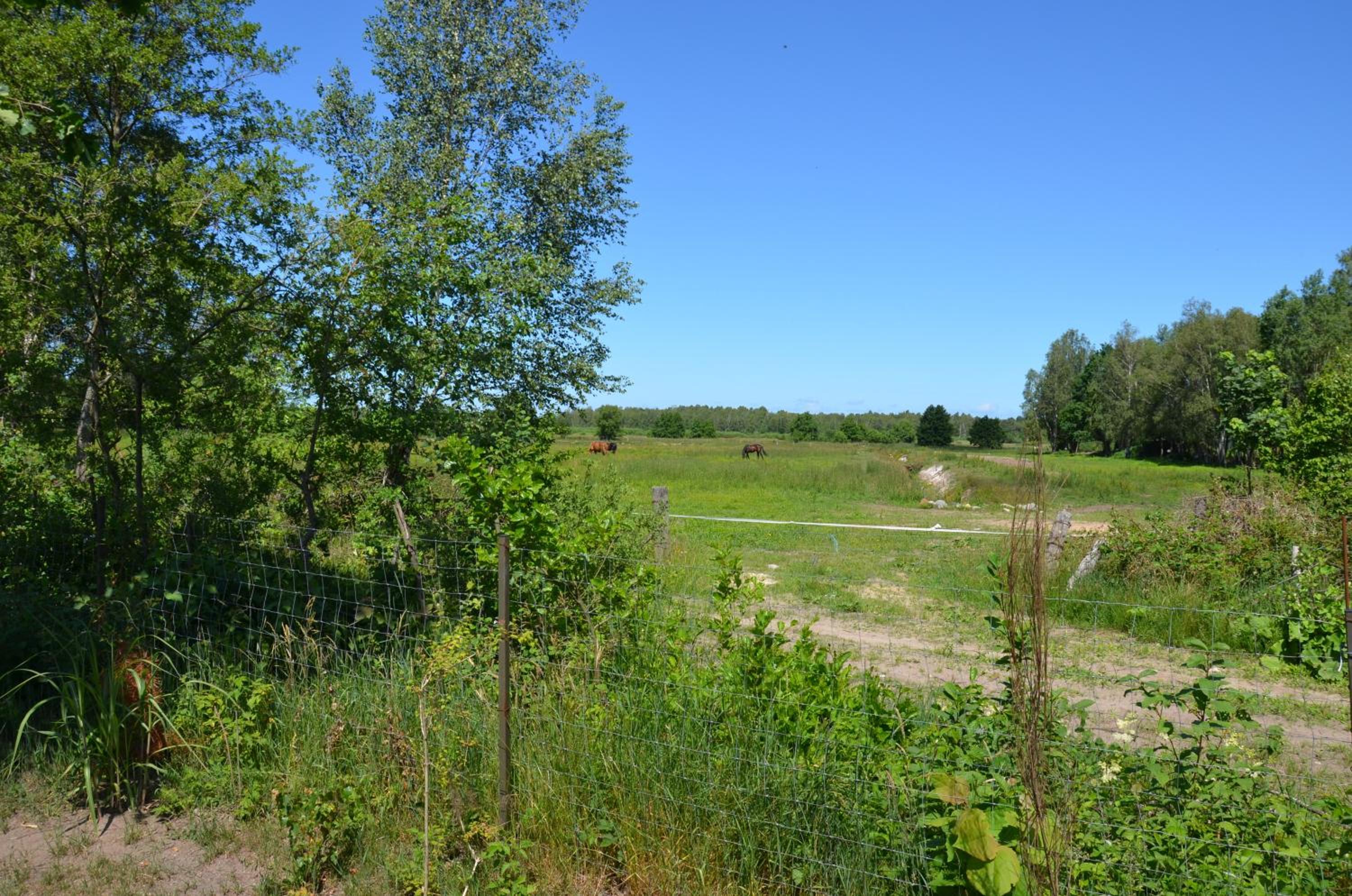 Magdalenka view 3