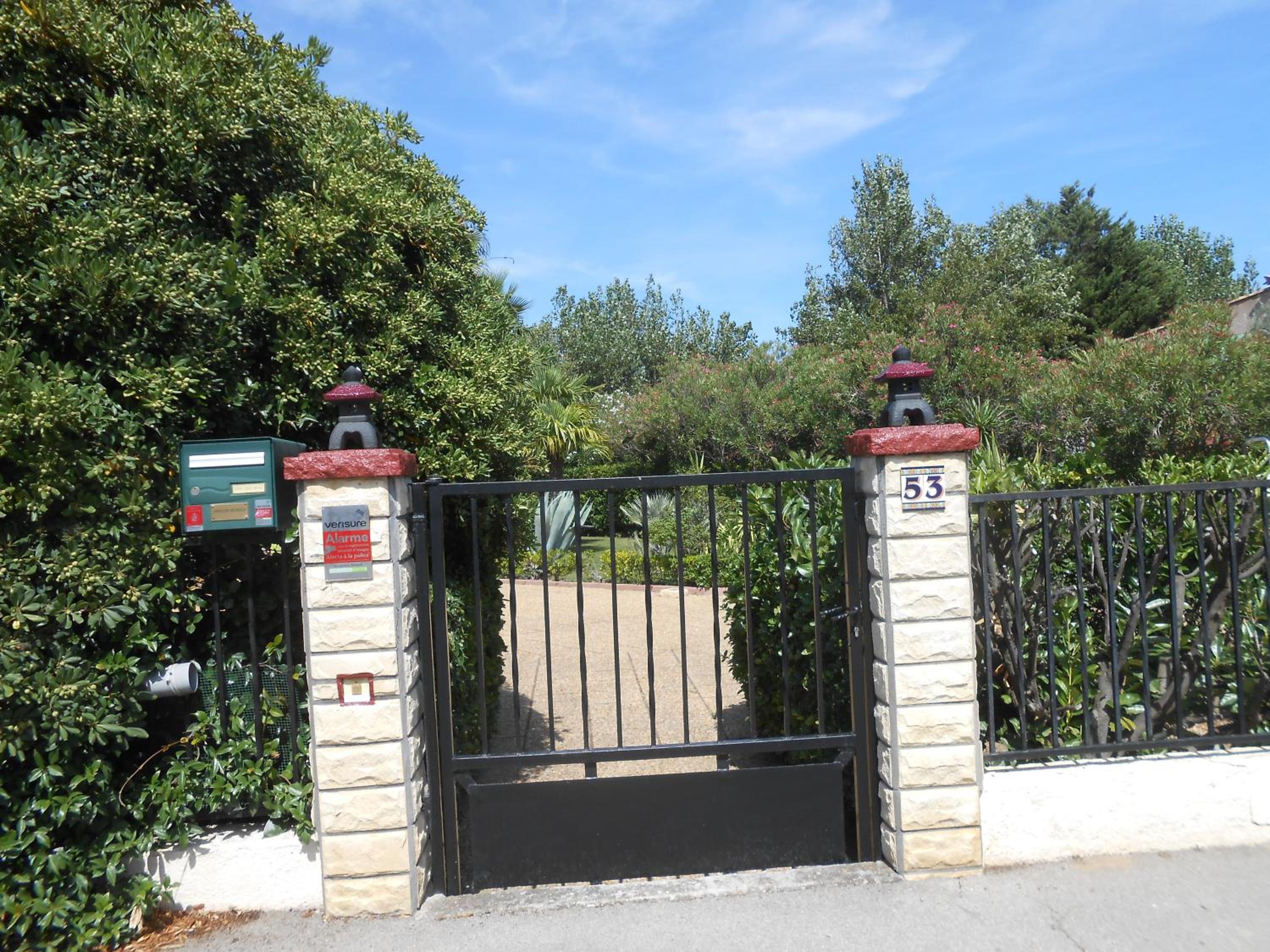 Photo 11