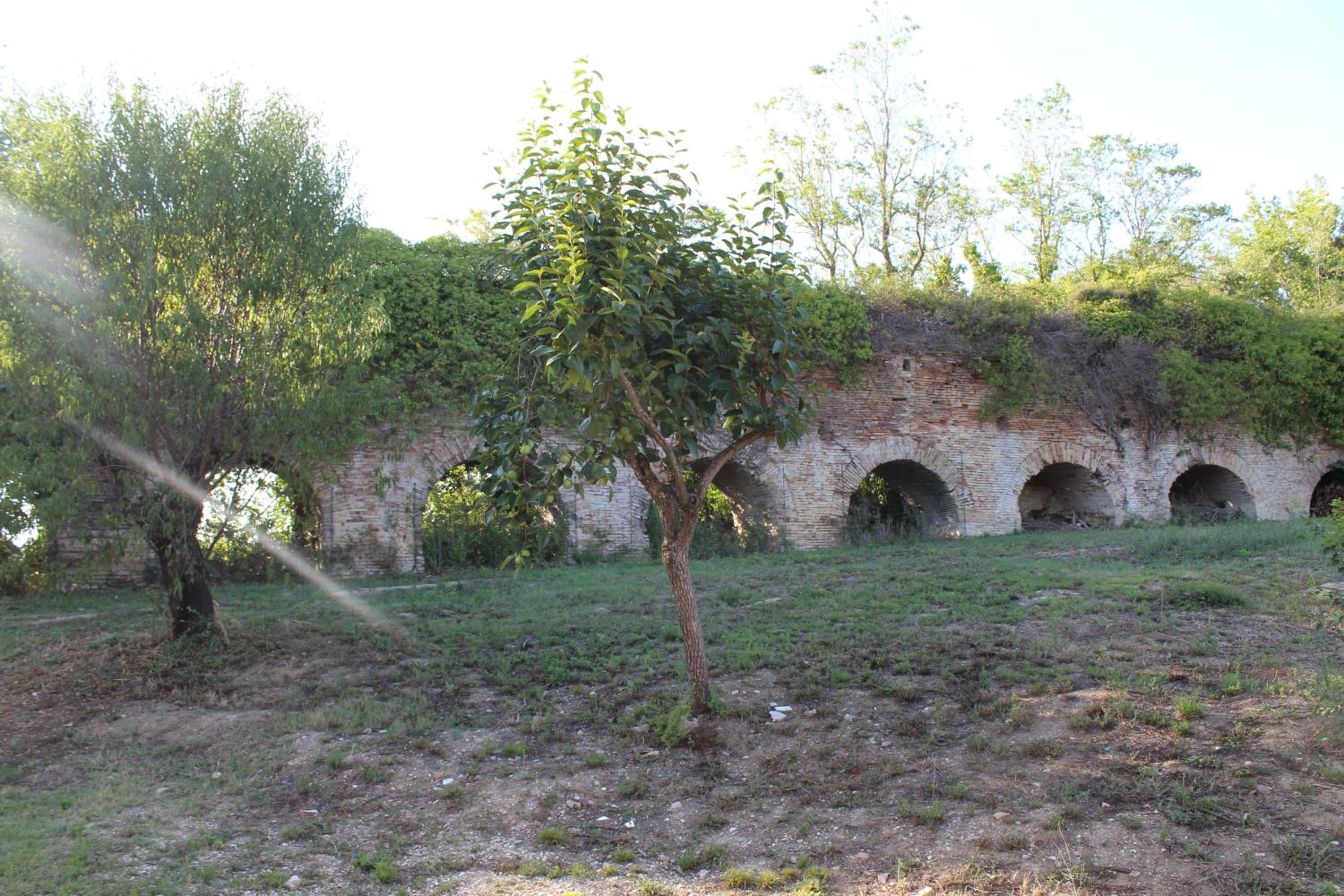 Photo 29