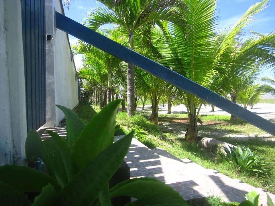 Photo 29