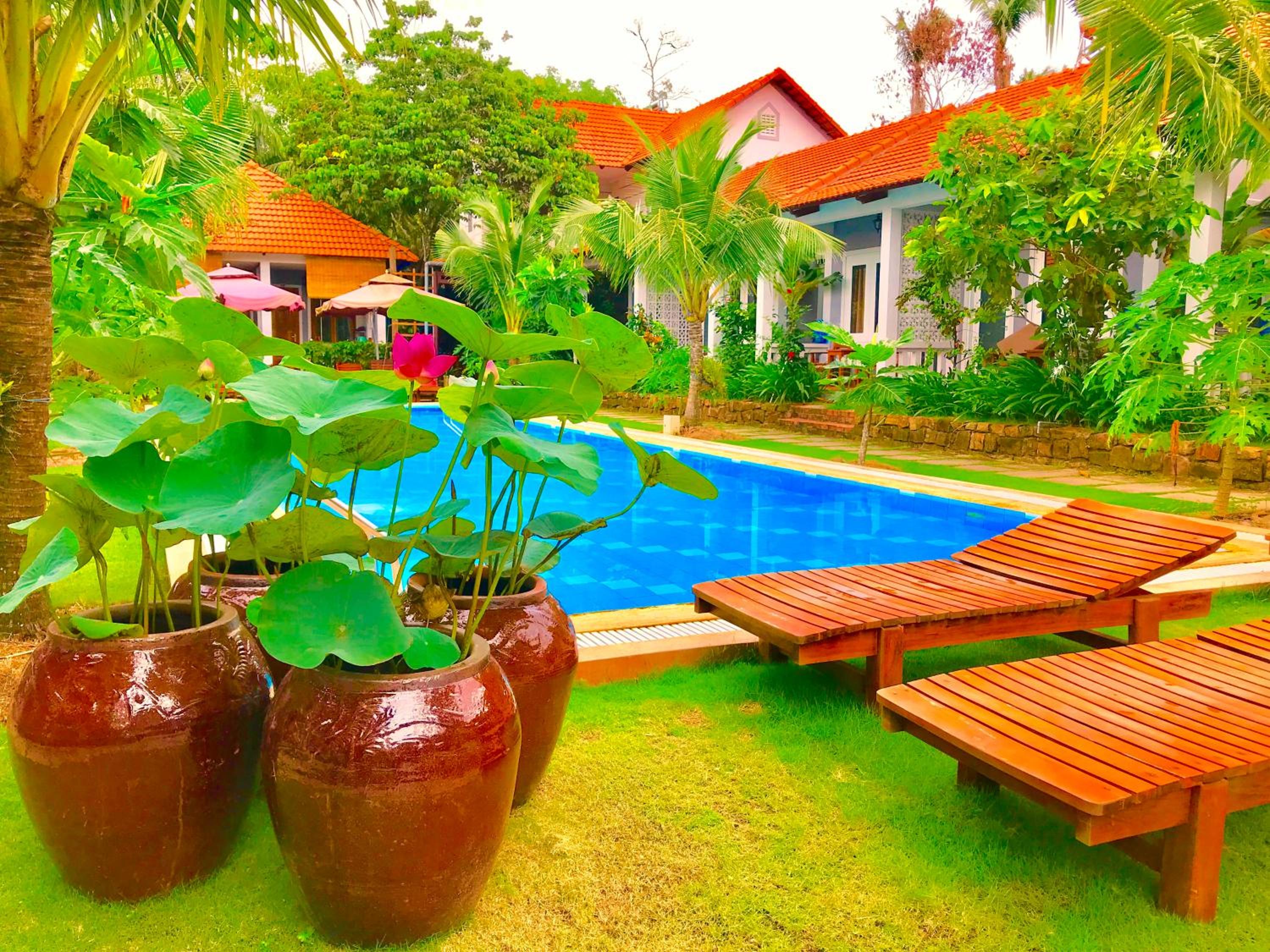 Gecko House