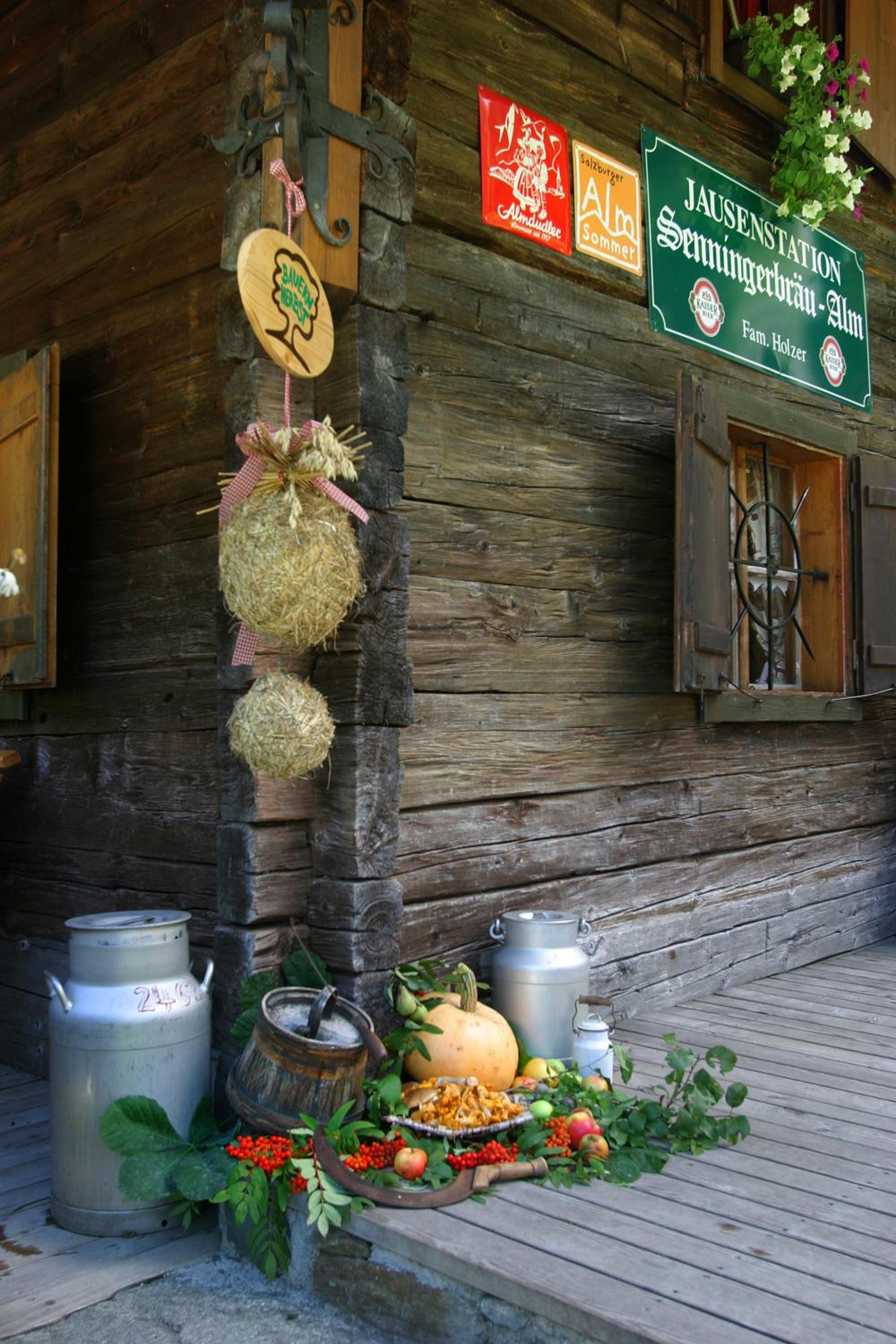 Photo 40