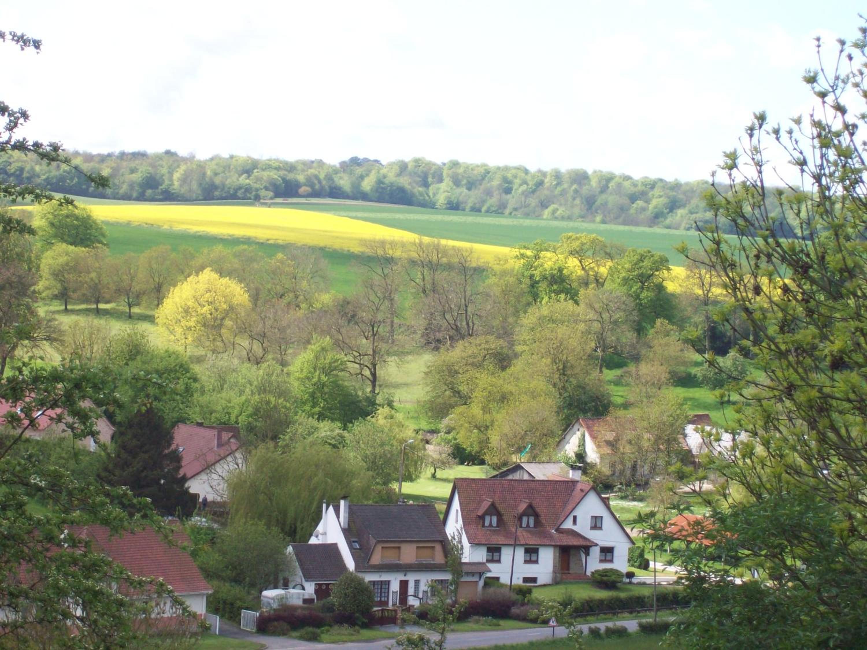 Photo 40
