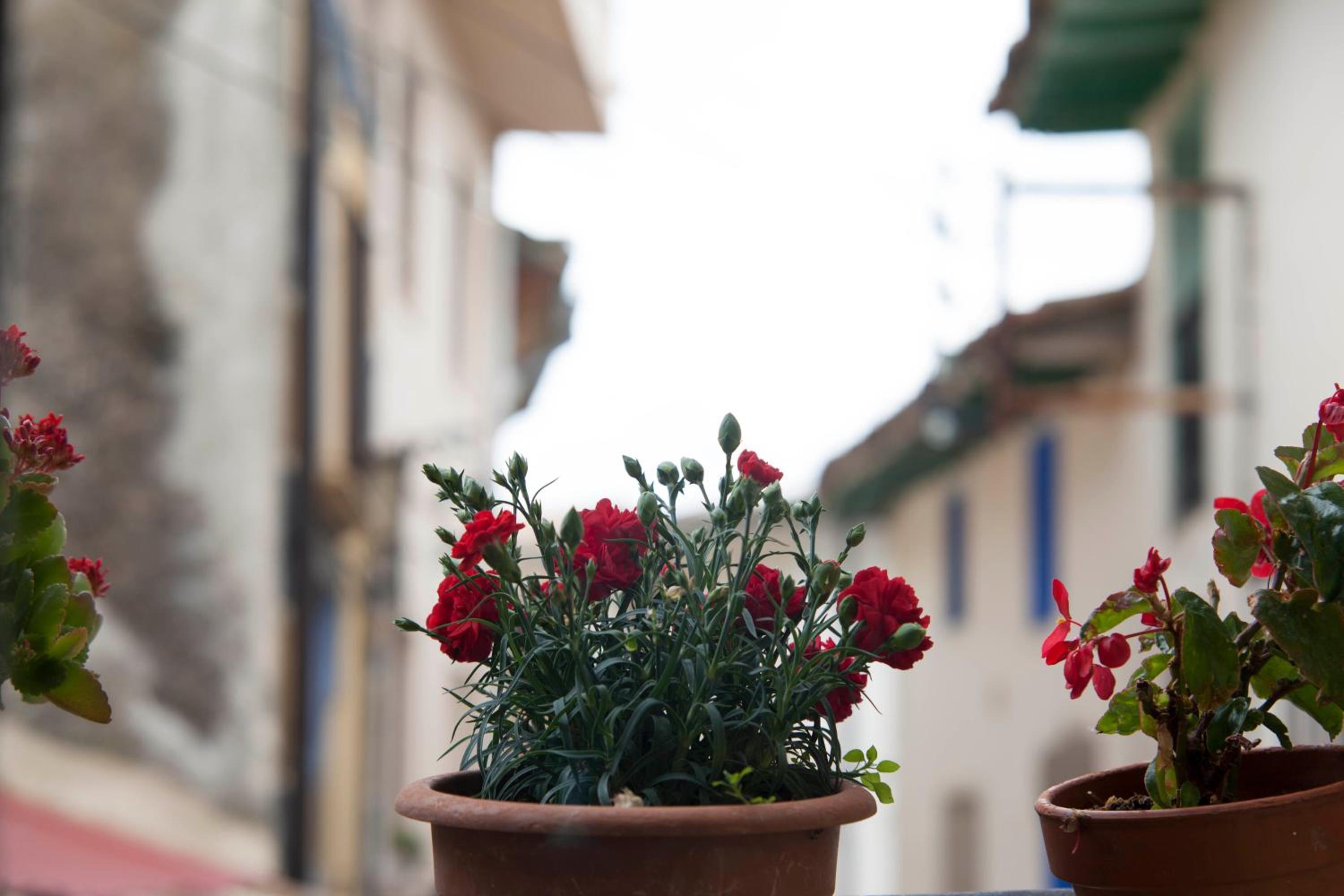 Photo 38