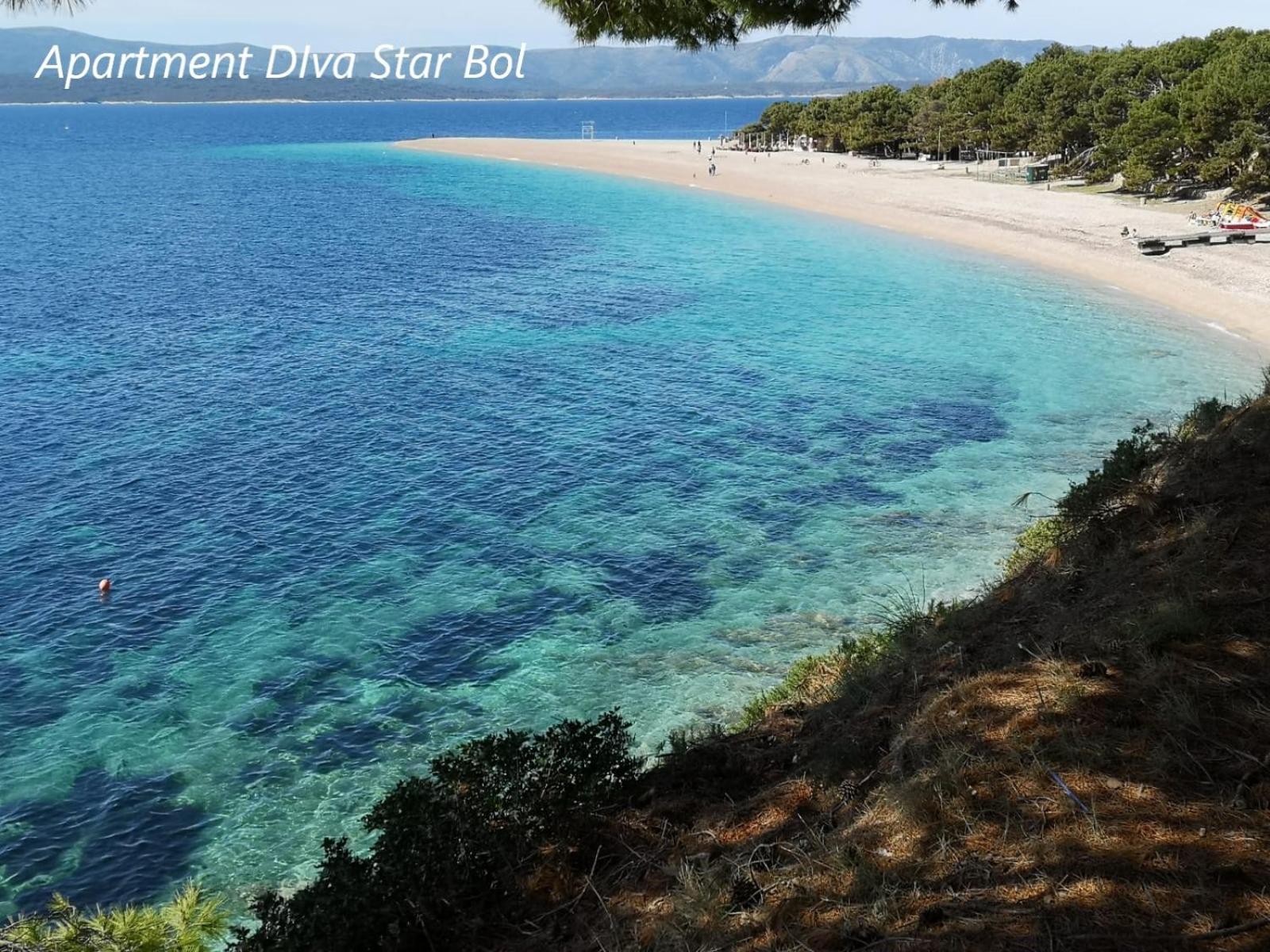 Diva Star Bol view 5