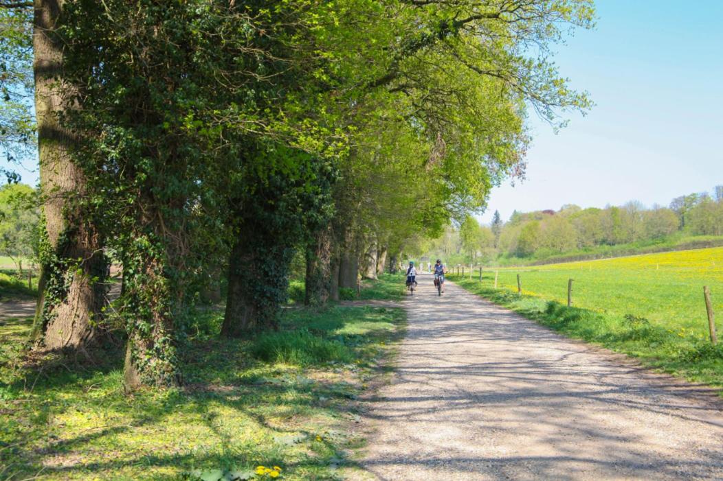 BB Freydag - Property Image 13