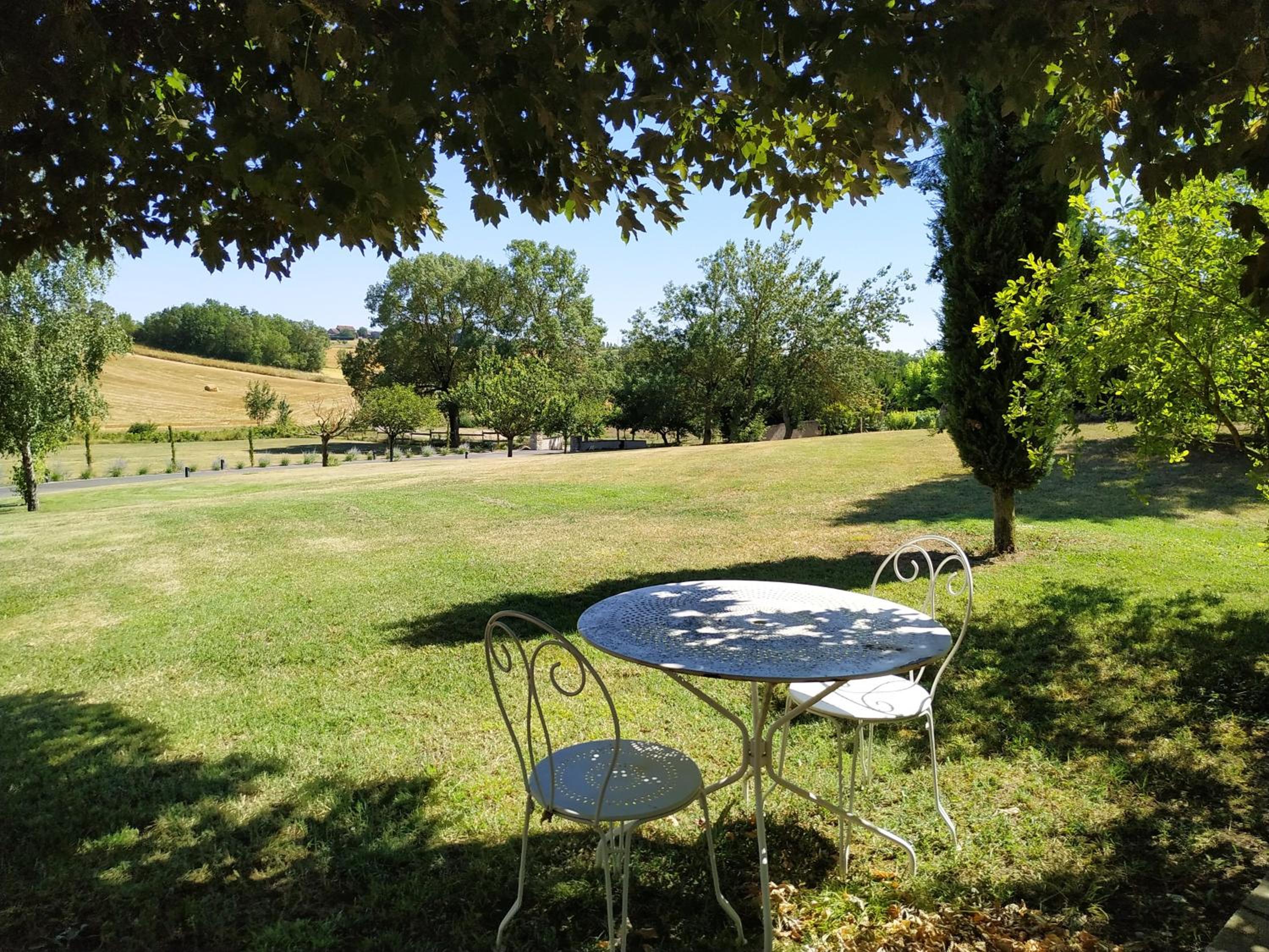 Photo 41