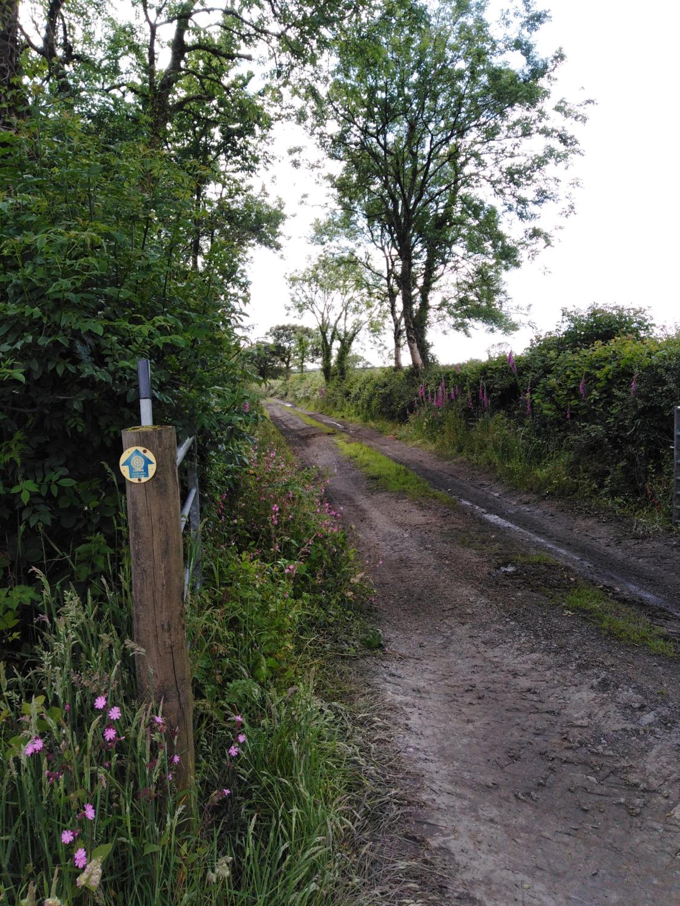 Blackmoor Farm view 3