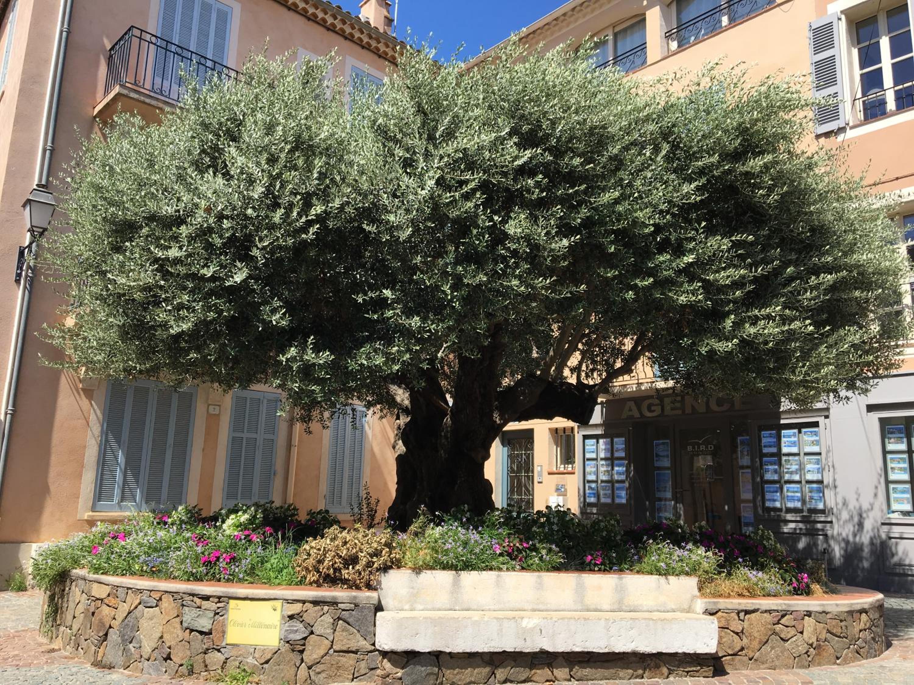 Bastide du Levant