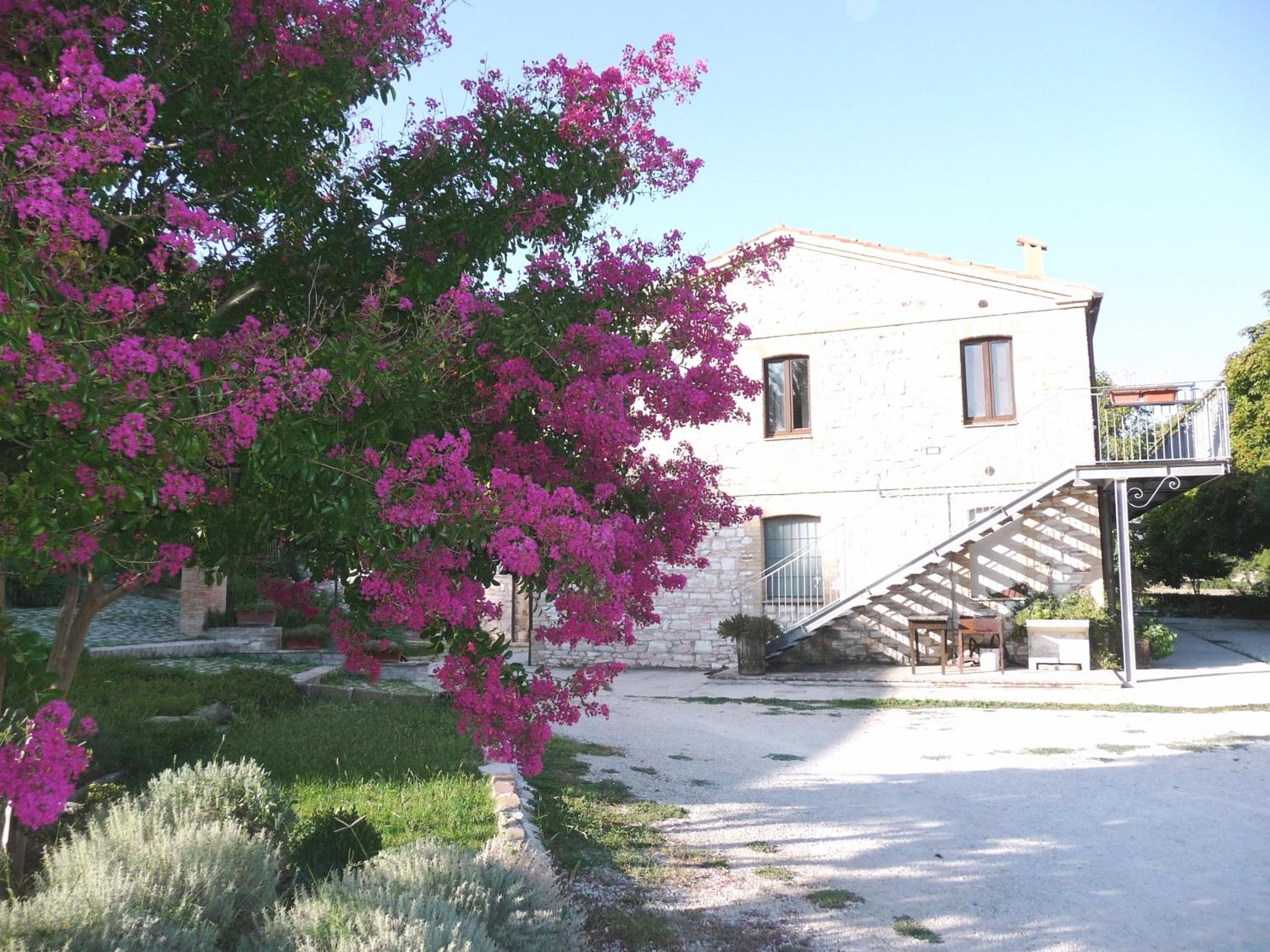 Photo 20