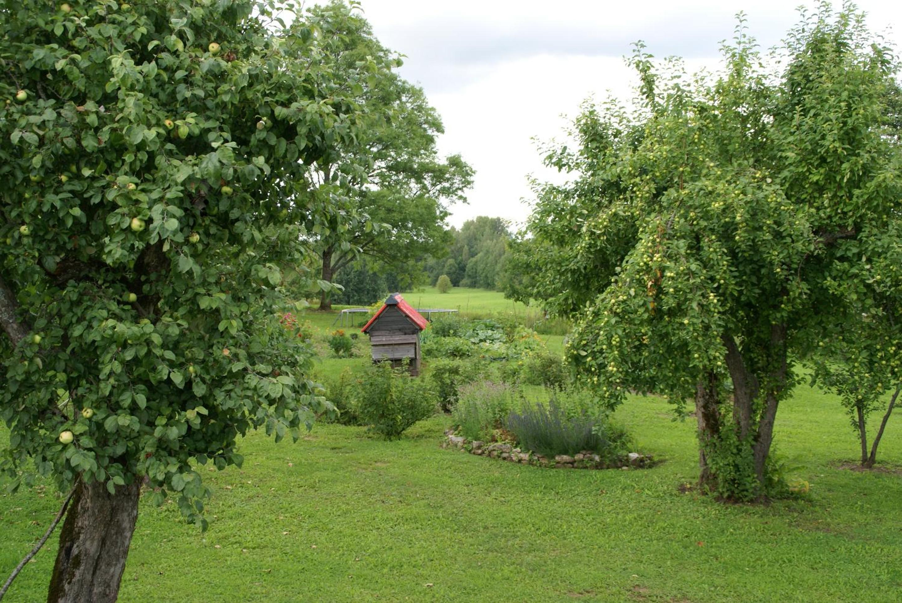 Photo 37