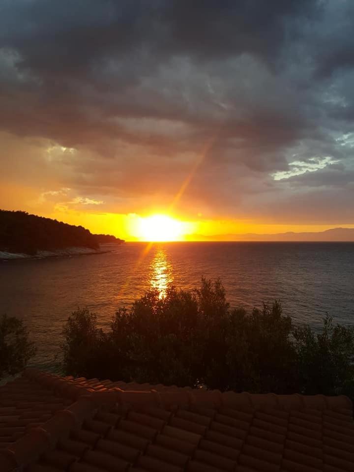 Apartments Davor