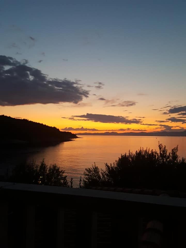 Apartments Davor