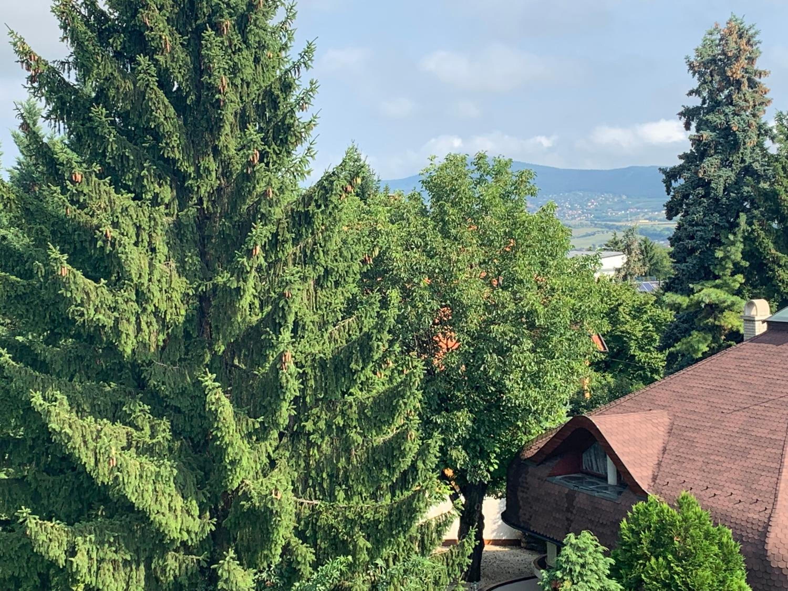 Maharaja Mountain Palace with Free Privat Parking and Garden