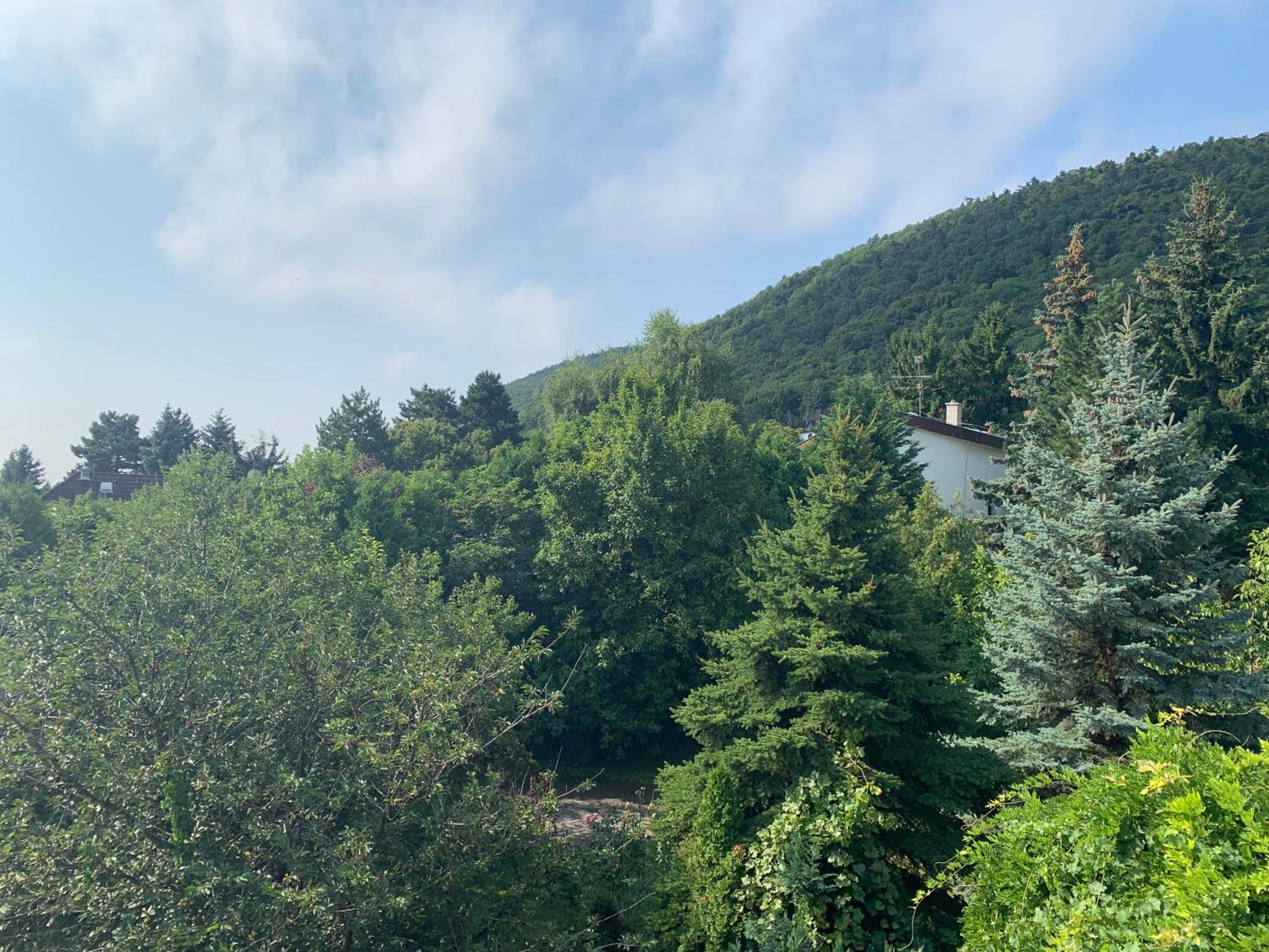 Maharaja Mountain Palace with Free Privat Parking and Garden